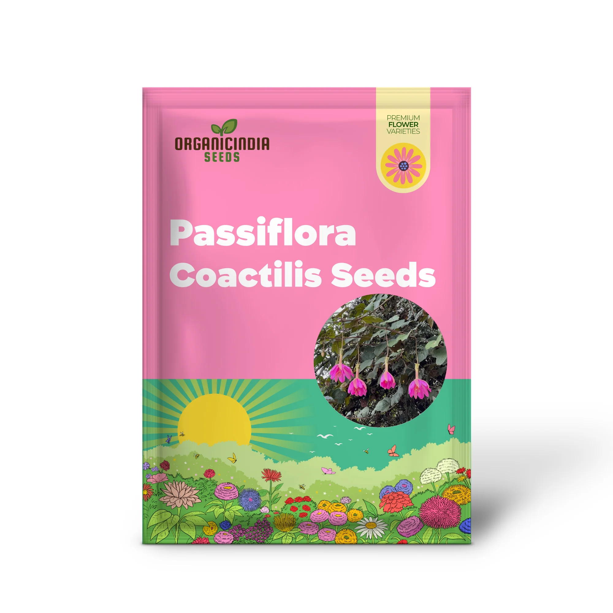 Passiflora Coactilis Seeds – Elevate Your Gardening Experience with Stunning, Unique Blooms! - Image 2