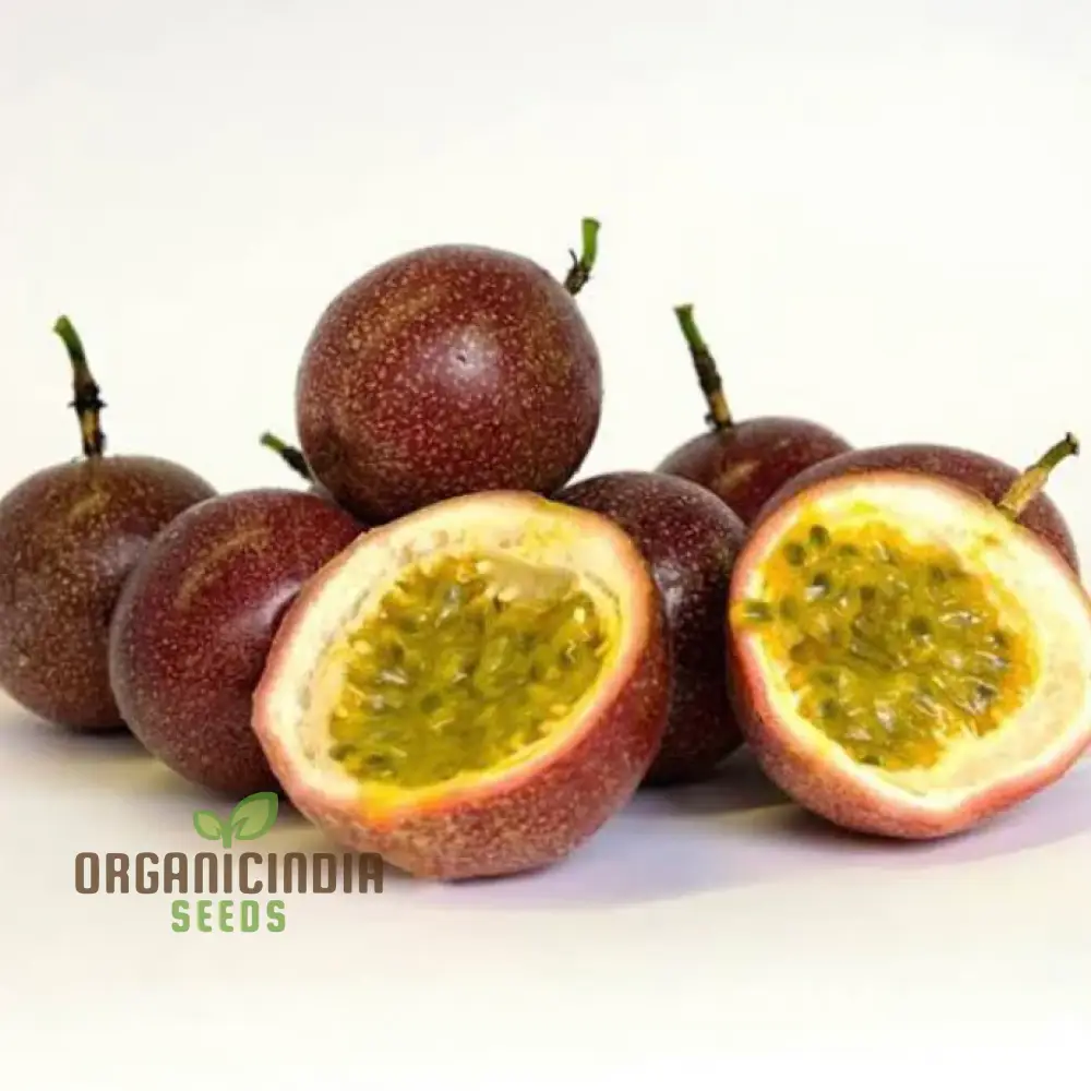 Passionfruit Pandora Seeds, Premium Quality for Planting Enthusiasts - Image 3