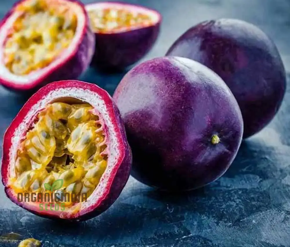 Passionfruit - Red Flamenco F1 Seeds, Premium Seeds for Planting Exotic Passionfruit Vines - Image 3
