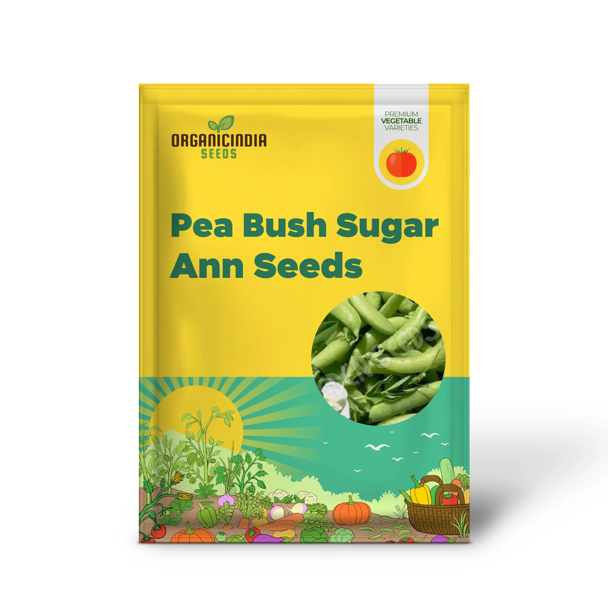 Pea (Sugarsnap) - Bush - Sugar Ann Seeds for Planting and Gardening | Premium Quality Organic Seeds - Image 2