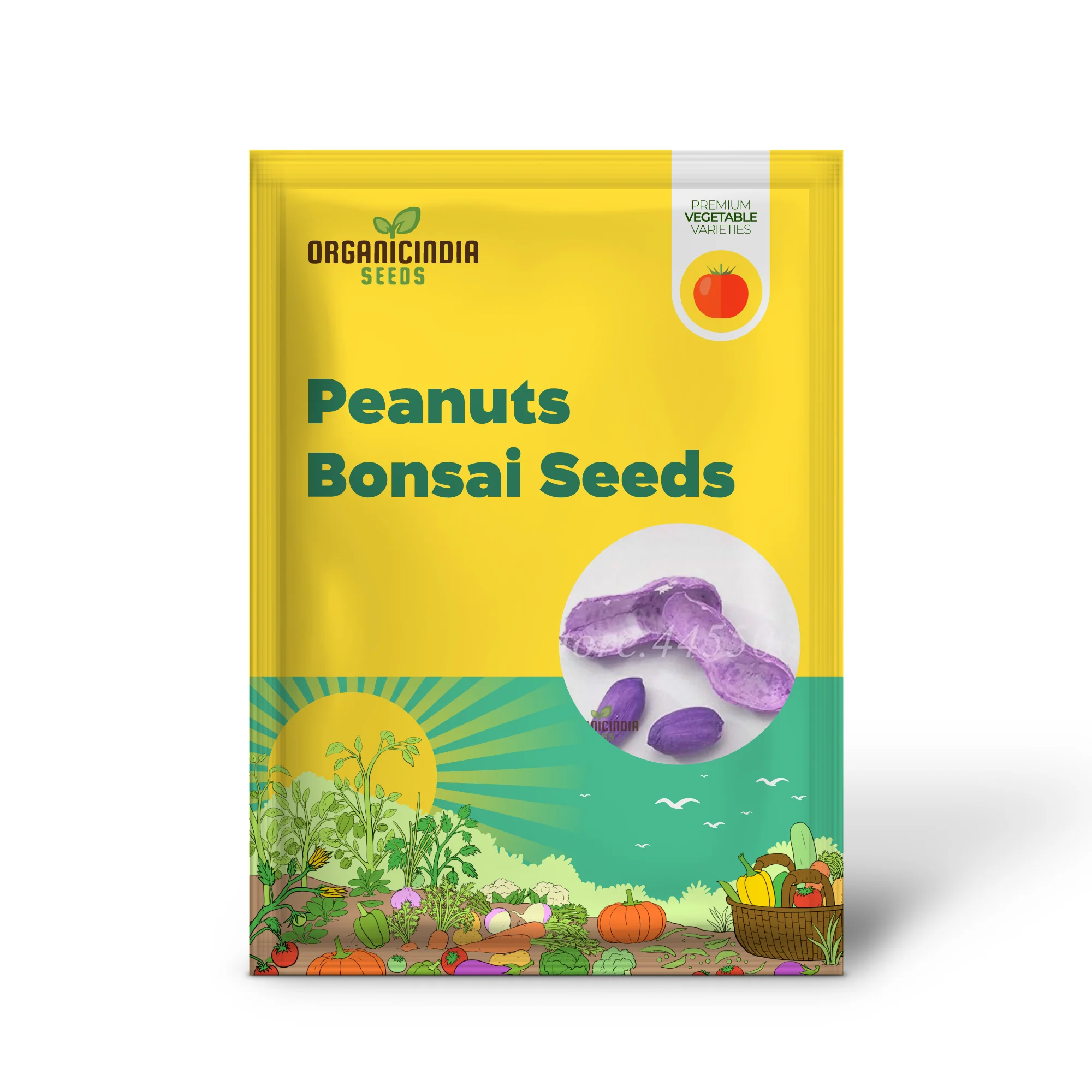 Peanuts Bonsai Seeds for Planting - Image 2