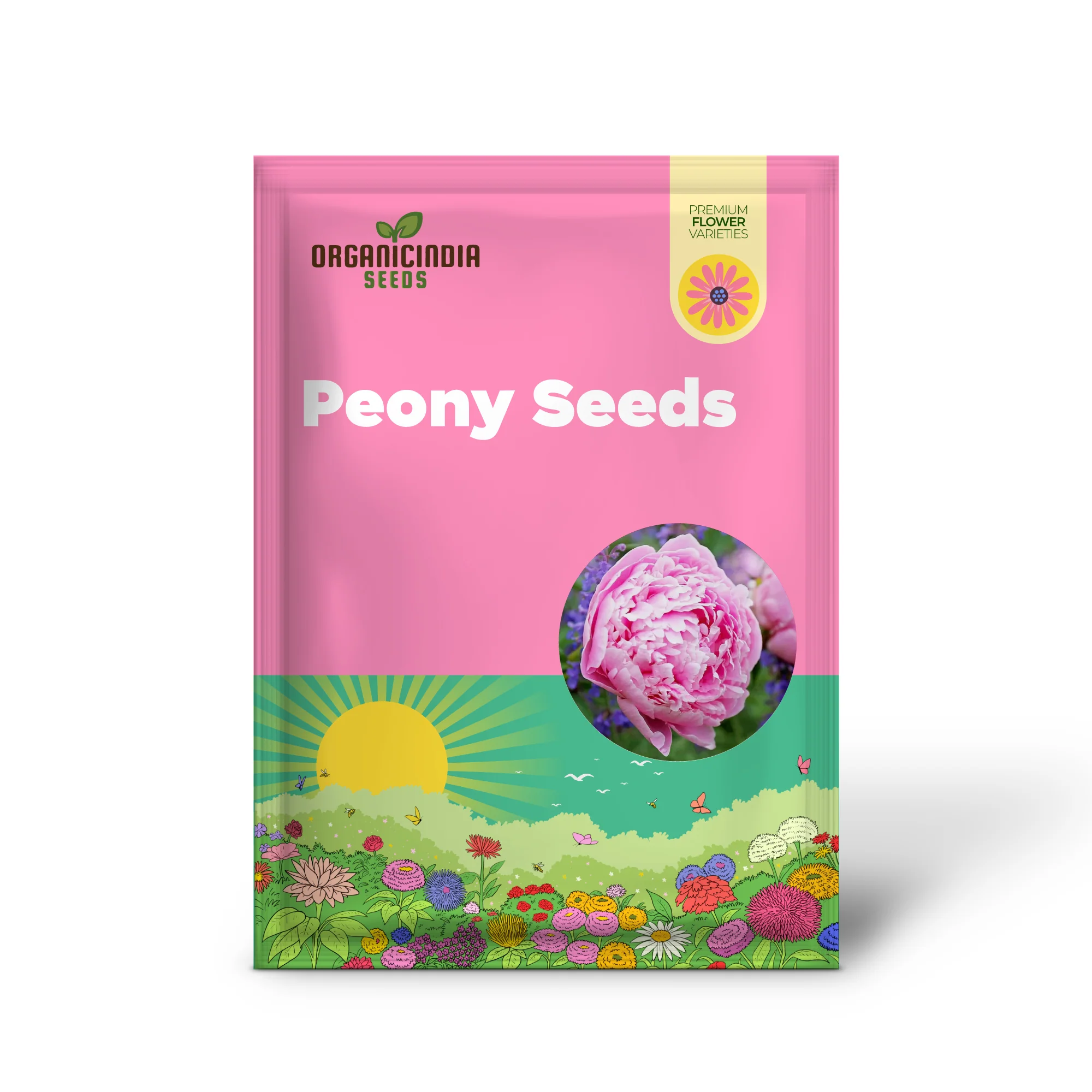 Mixed Peony Seeds, Popular Flowering Perennial Plant with Large Fragrant Blooms for Gardens And Floral Arrangements - Image 2
