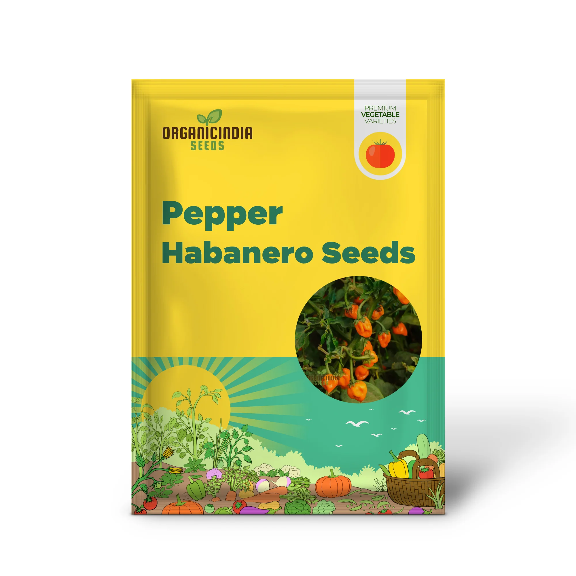 PEPPER HABANERO ORANGE Seeds for Planting, Your Garden | Buy Seeds Online - Image 2