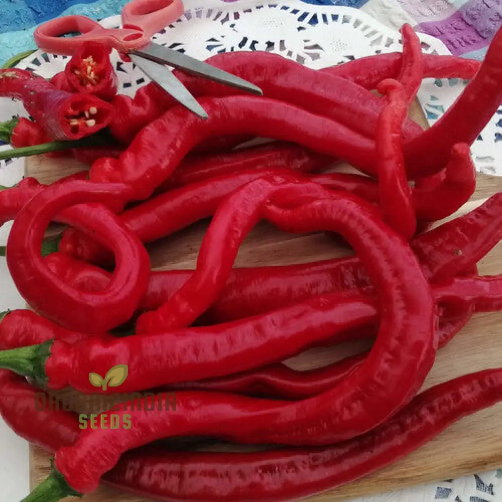 PEPPER SLIM JIM Seeds for Your Garden | Buy Seeds Online - Image 4