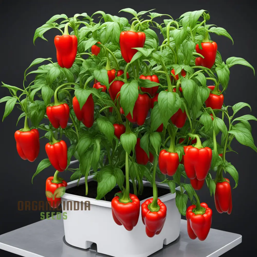 Red Pepper Seeds For Planting, Capsicum Seeds, Spice up Your Garden - Image 3