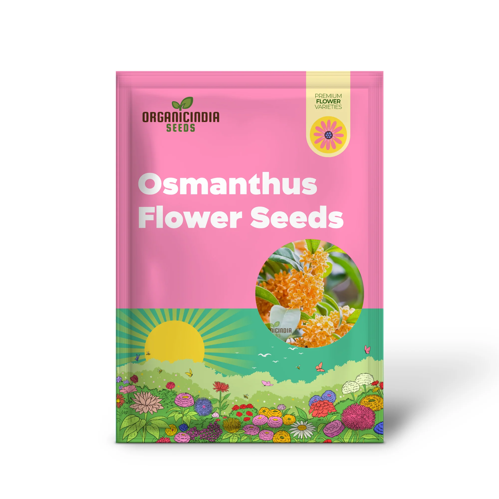 Perennial Osmanthus Fragrans Seeds for Planting, Premium High-Quality Flower Seeds for Your Garden - Image 2