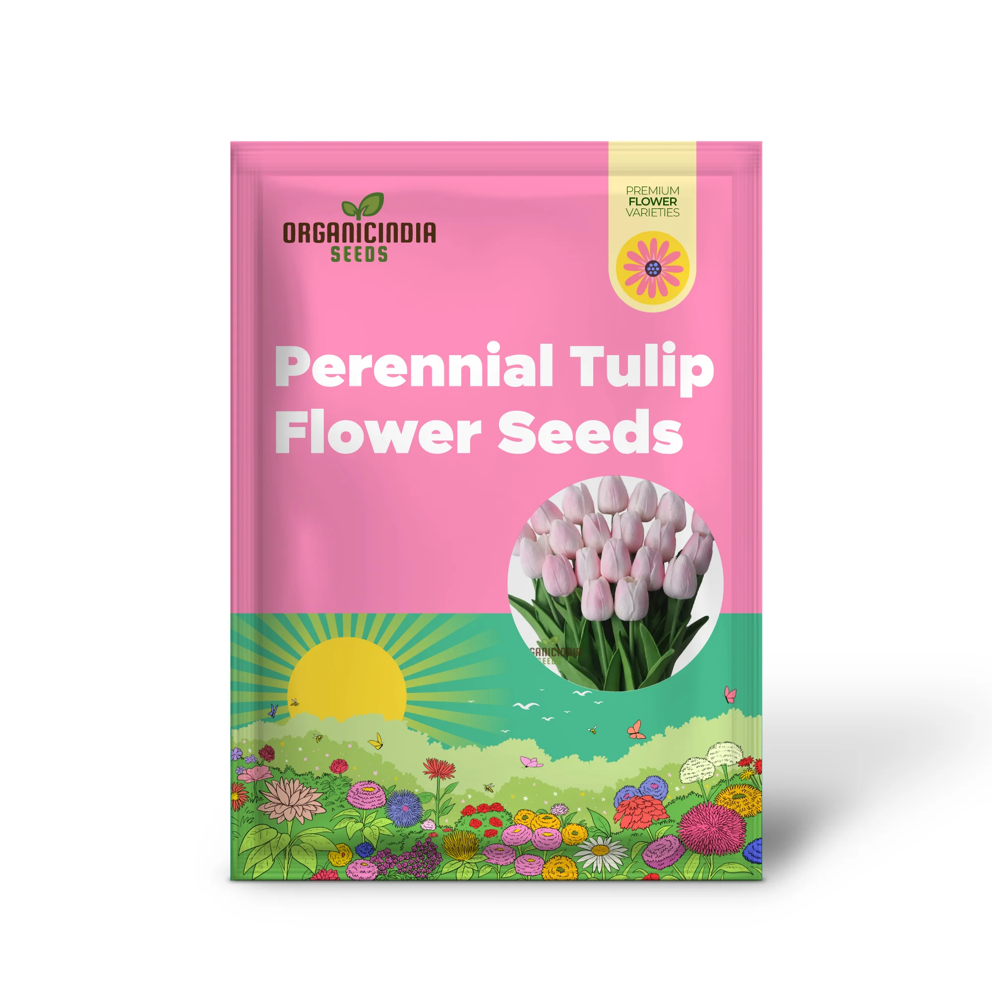 Perennial Tulip Flower Seeds for Outdoor Planting - Image 2