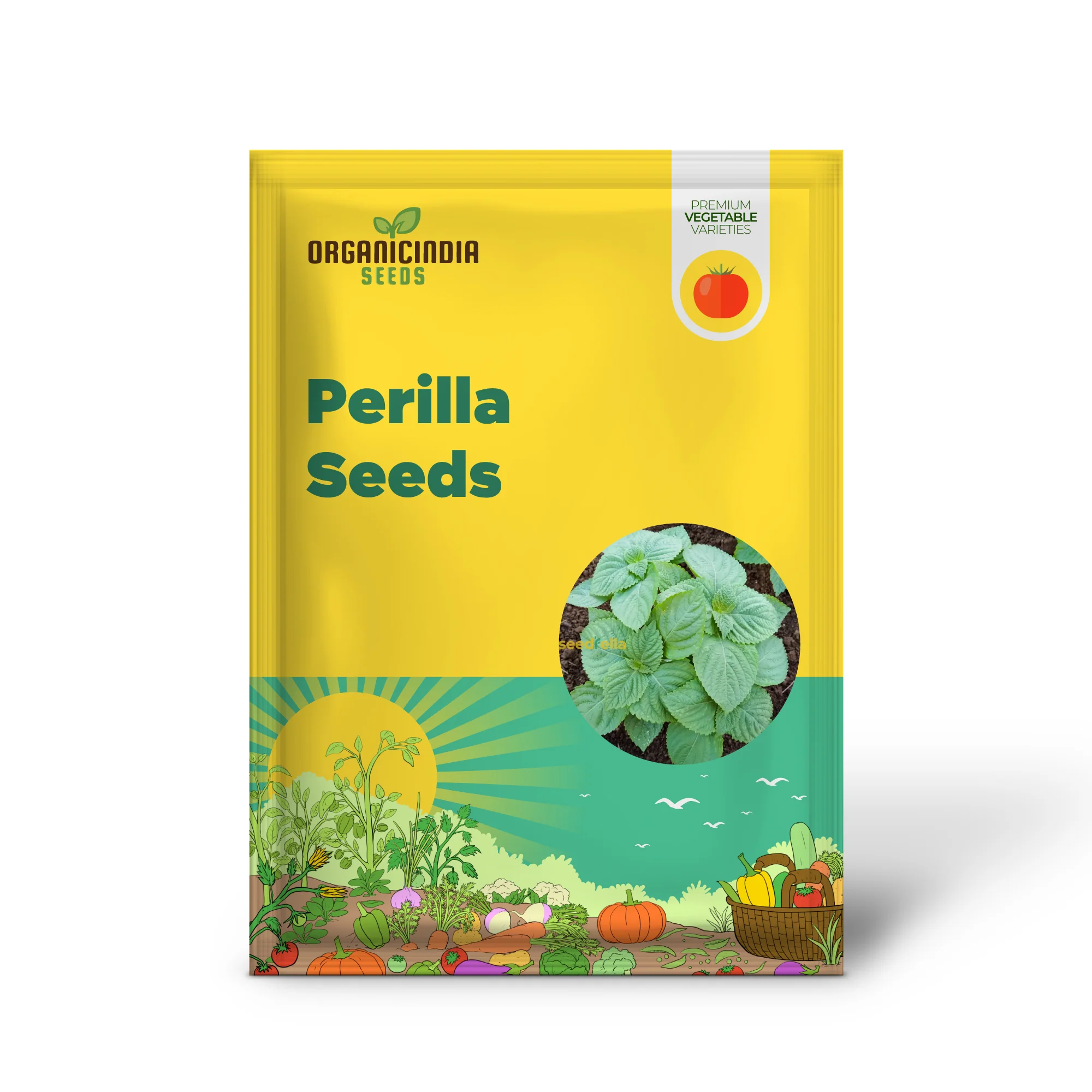 Perilla Seeds – Fresh, Flavorful Green Leaves for Vegetable & Herb Gardens - Image 2