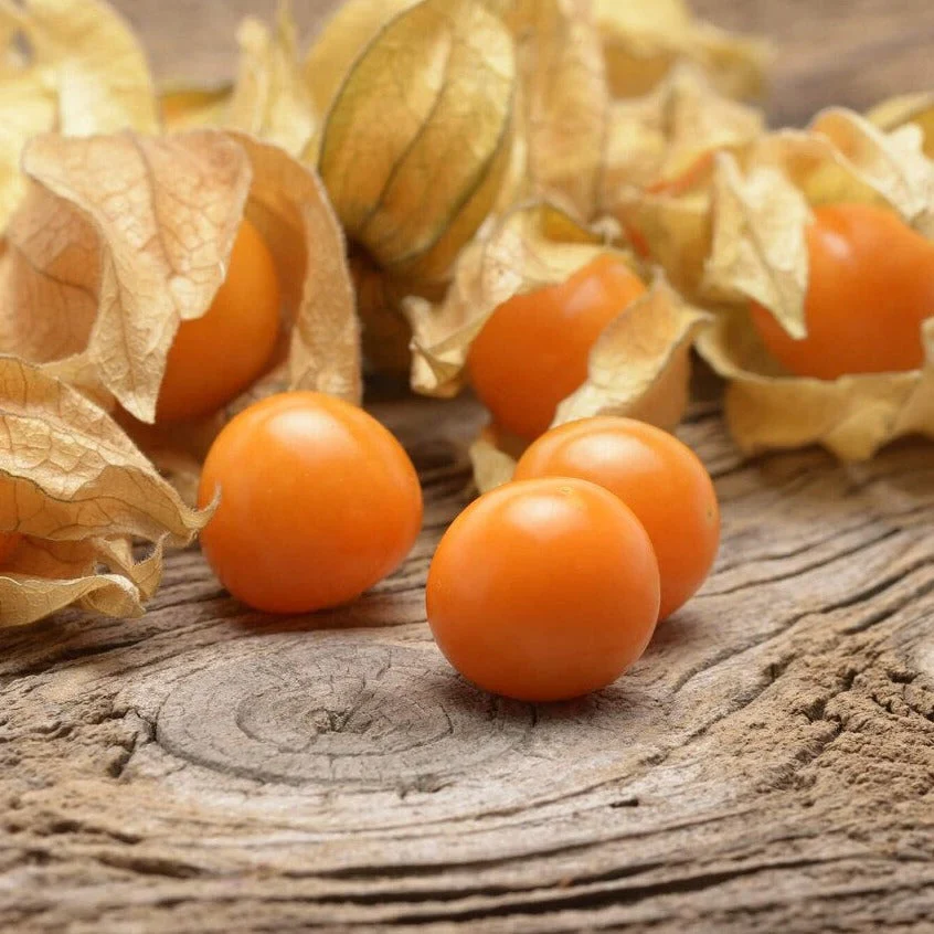 Peruvian Ground Cherry Seeds