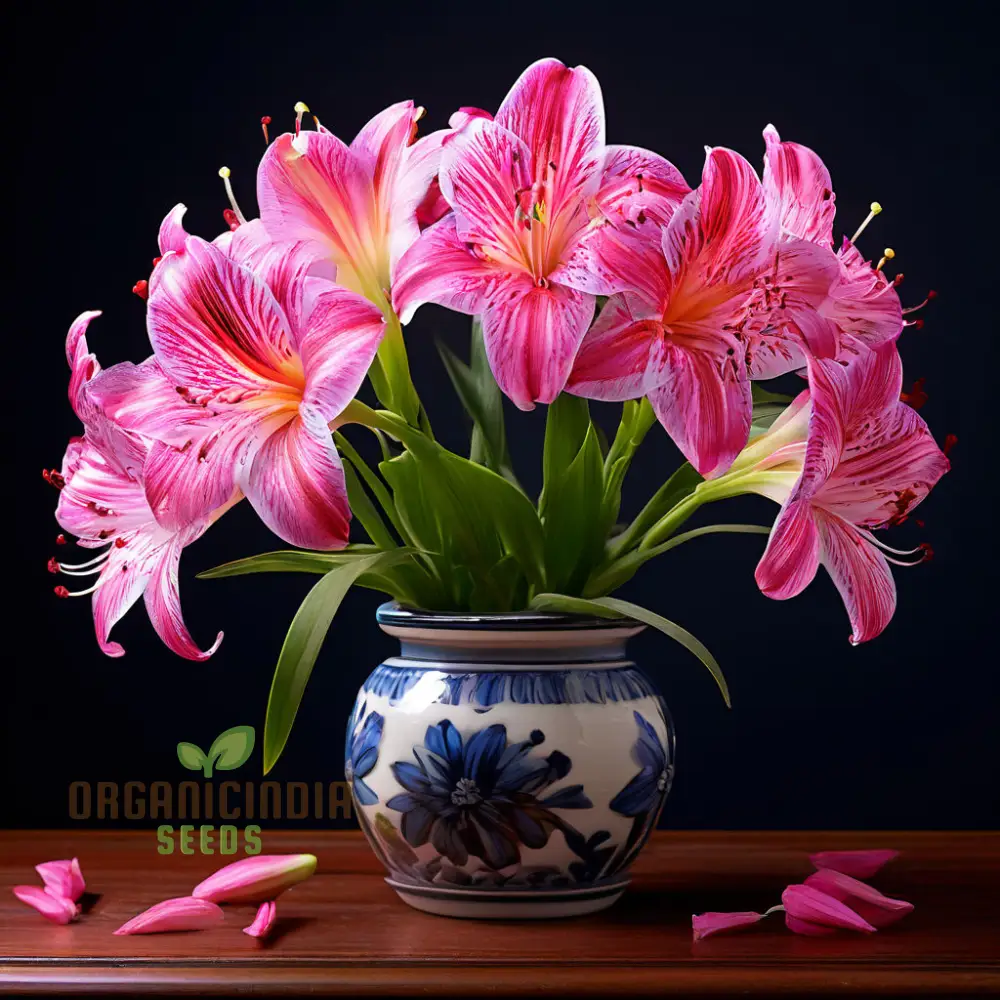Peruvian Lily Flower Seeds for Planting - Premium Quality Seeds for Vibrant Alstroemeria Blooms - Image 3