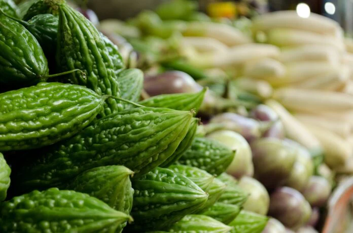 Philippine Ampalaya Bitter Gourd Seeds – High-Quality, Fast-Growing & Heirloom Variety - Image 2