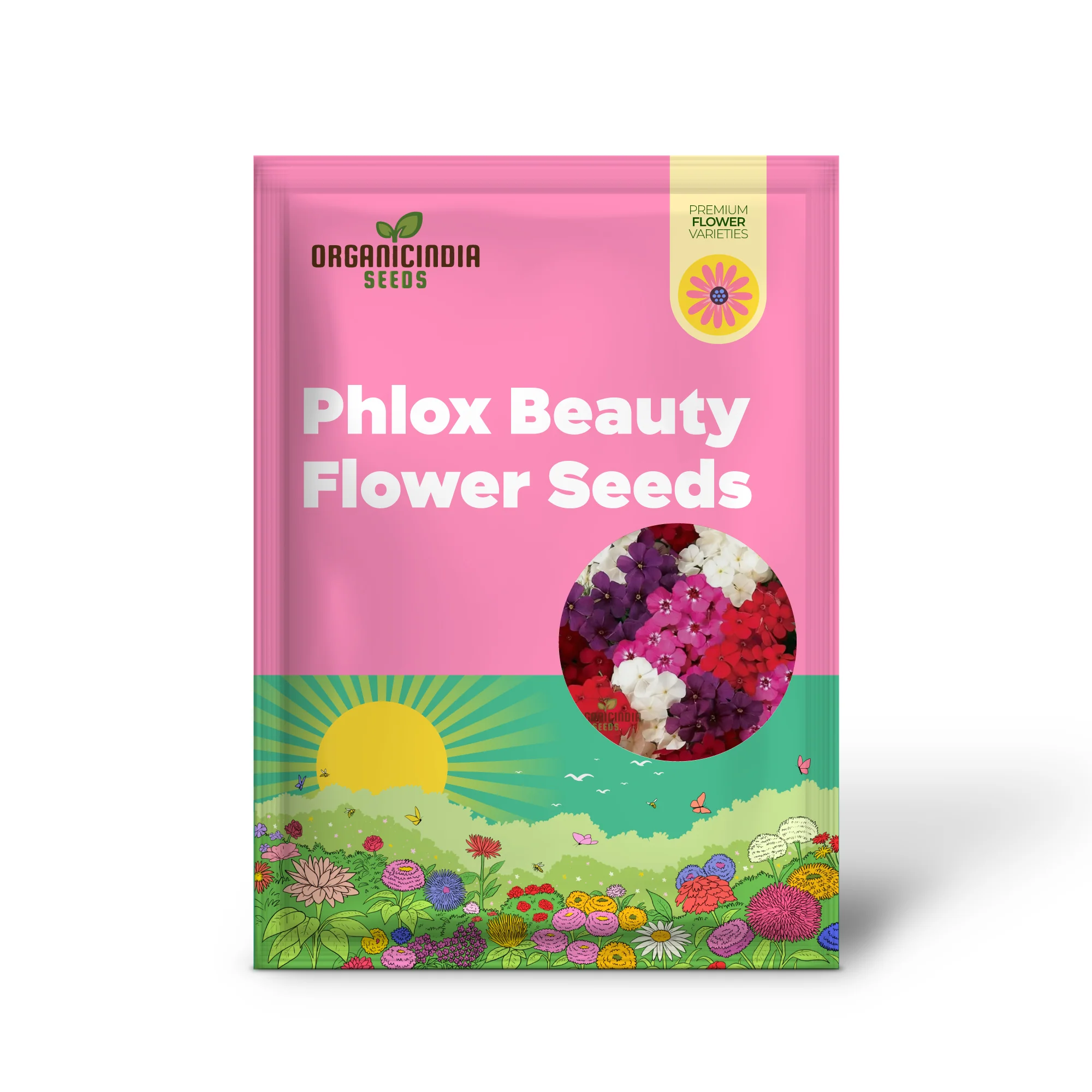 Phlox Beauty Mix Seeds – Vibrant Garden Flowering Blend for Stunning Blooms - Image 2