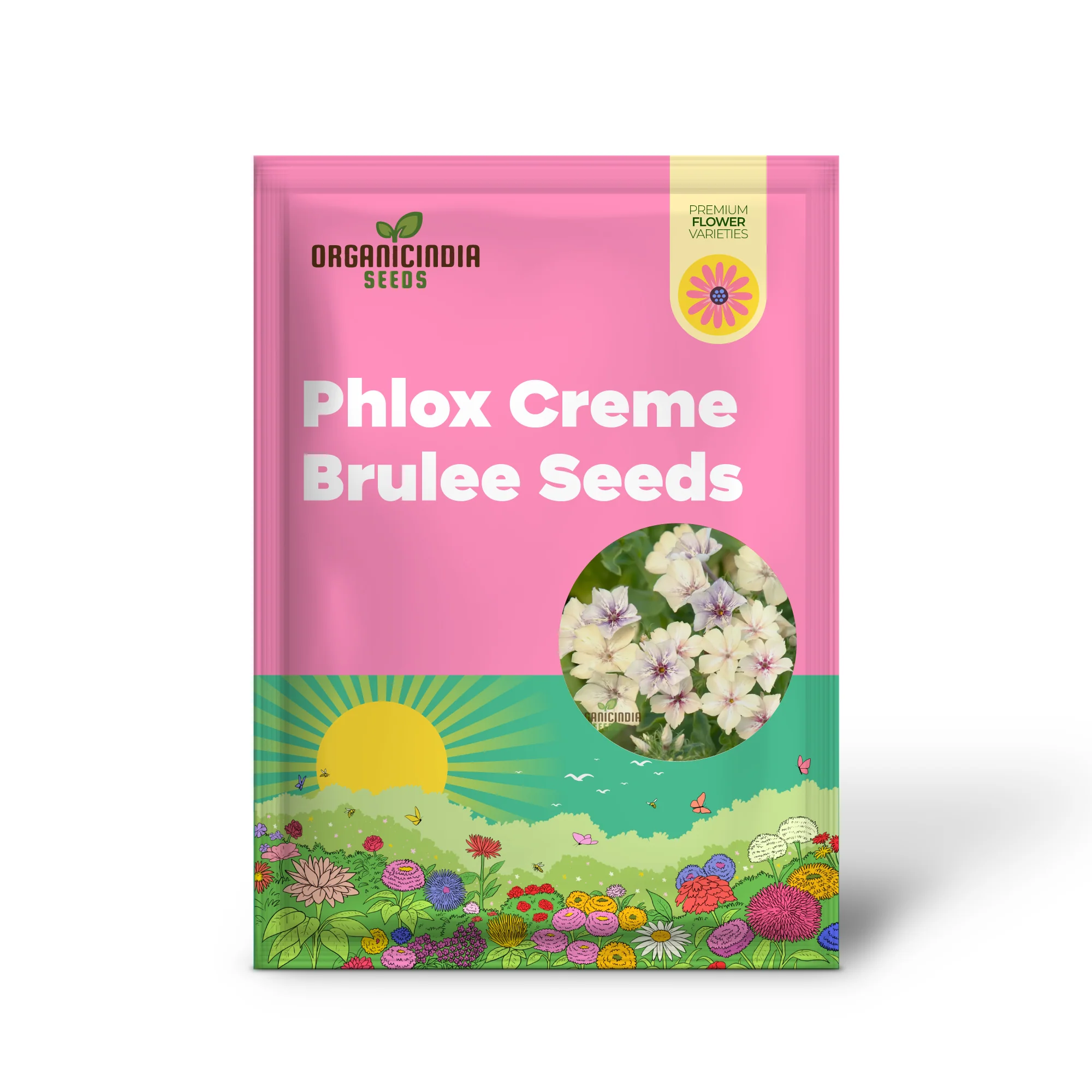 Phlox Crème Brulee Seeds – Premium Creamy Bloom Variety for Garden Planting - Image 2