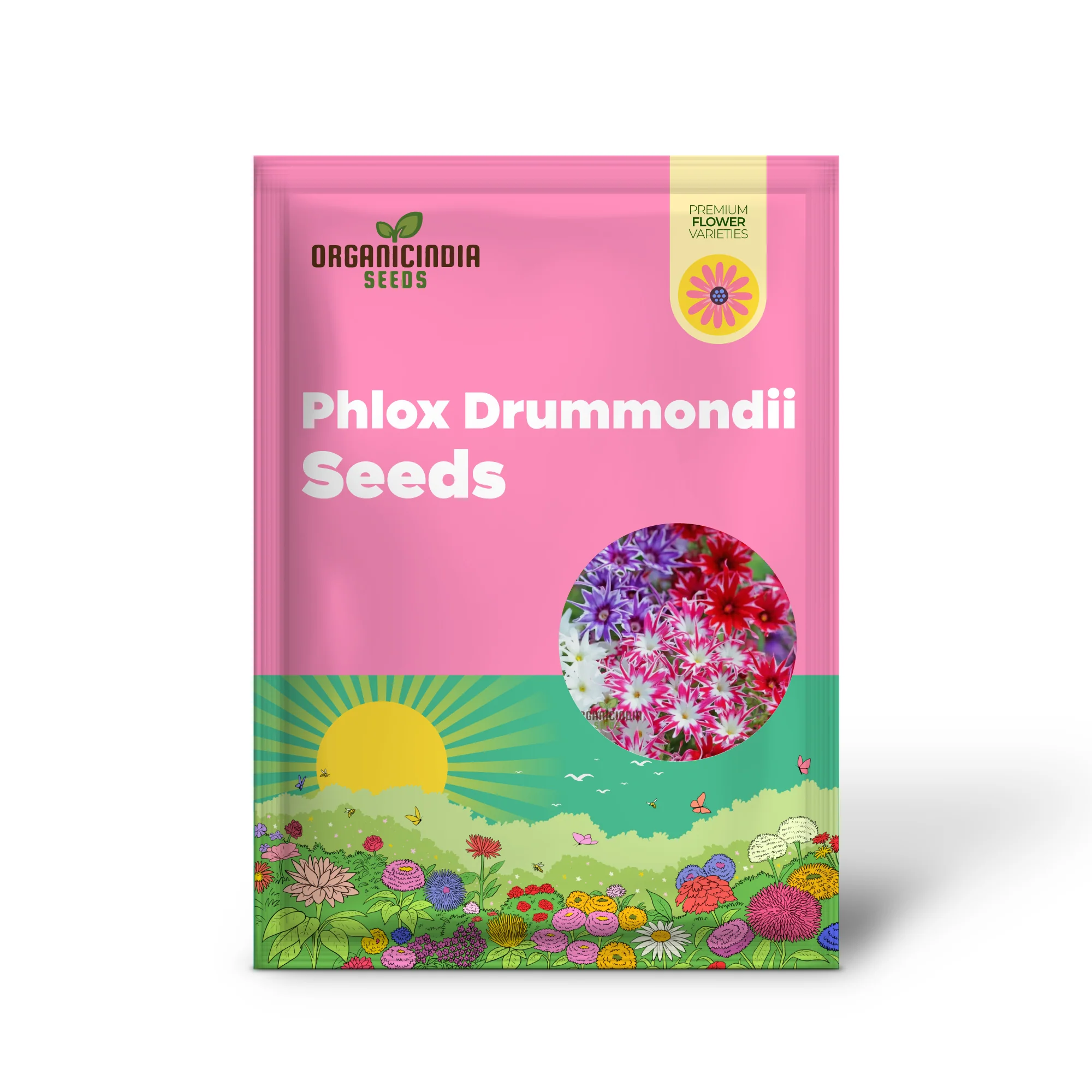 Phlox Drummondii Twinkle Mixed Flower Seeds, Comprehensive Planting and Gardening Guide for Vibrant, Starry Blooms - Image 2