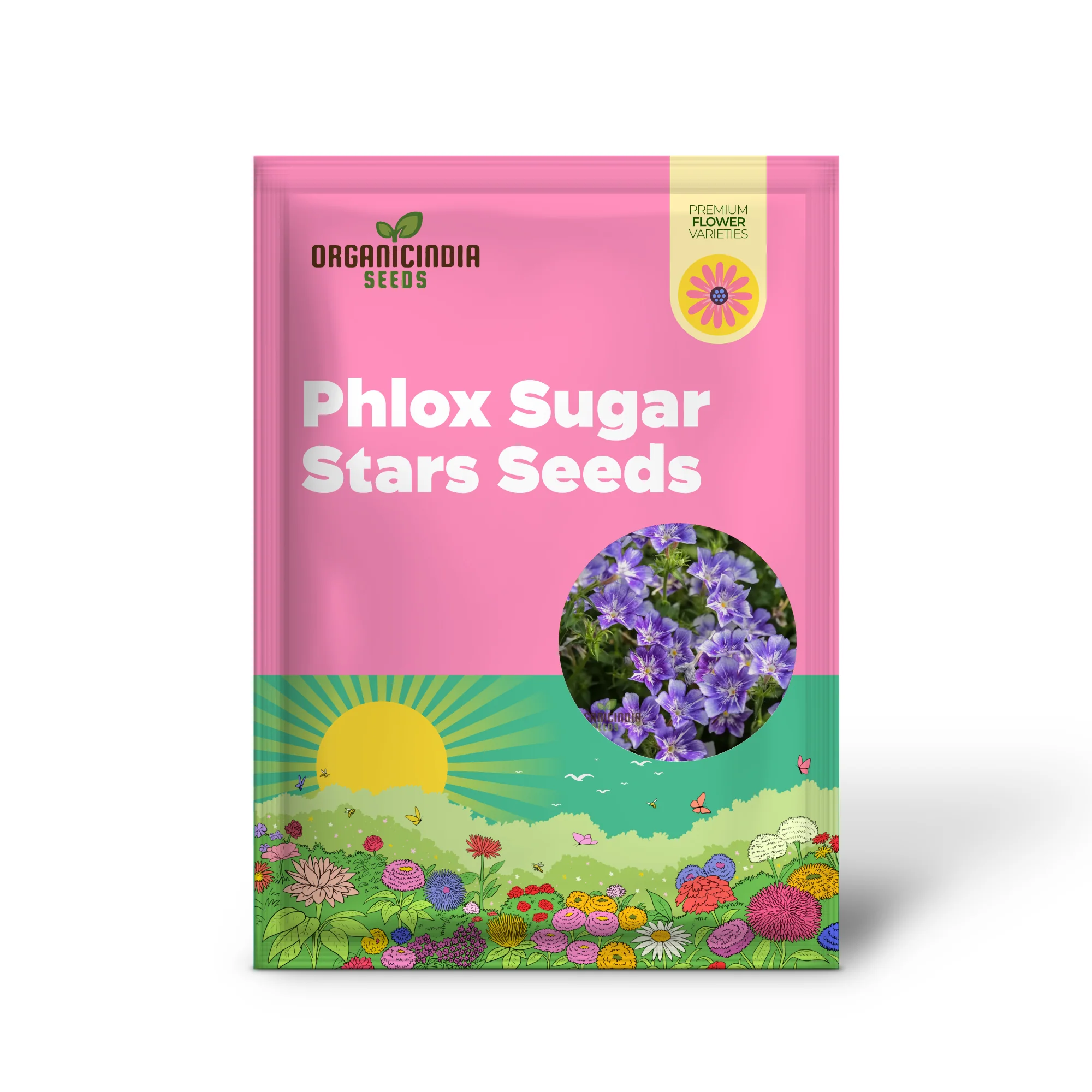 Phlox Sugar Stars Seeds - Grow Stunning and Sweet Sugar Stars Phlox in Your Garden - Image 2