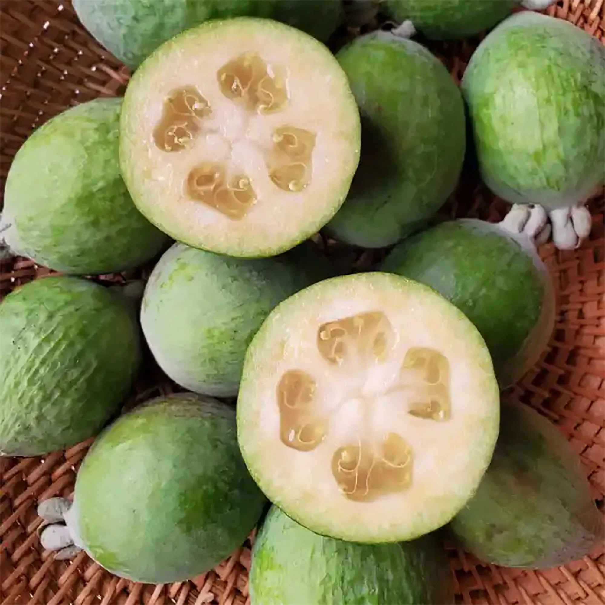 Pineapple Guava Fruit Seeds