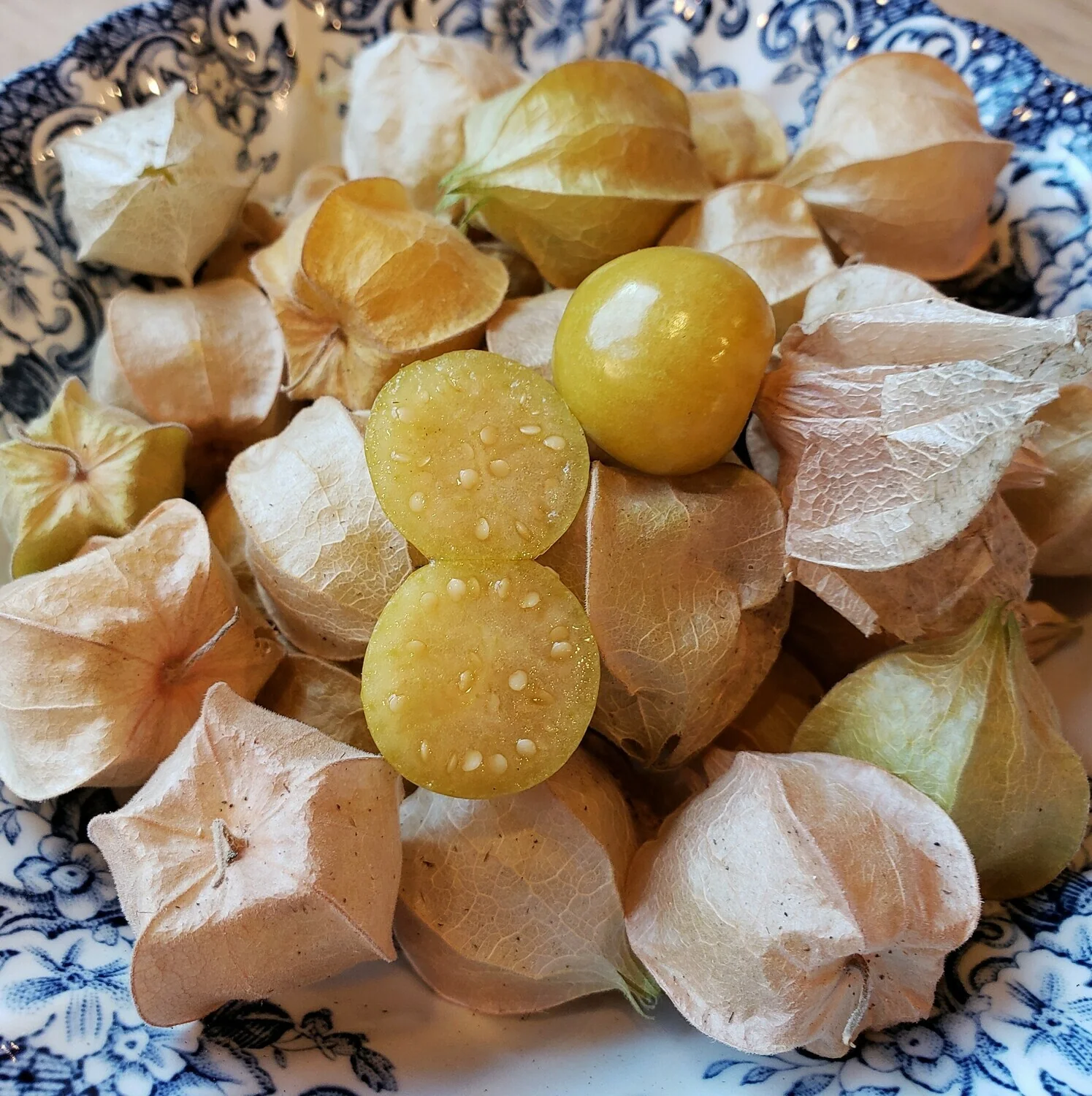 Pineapple Tomatillo Fruit Seeds - Image 4