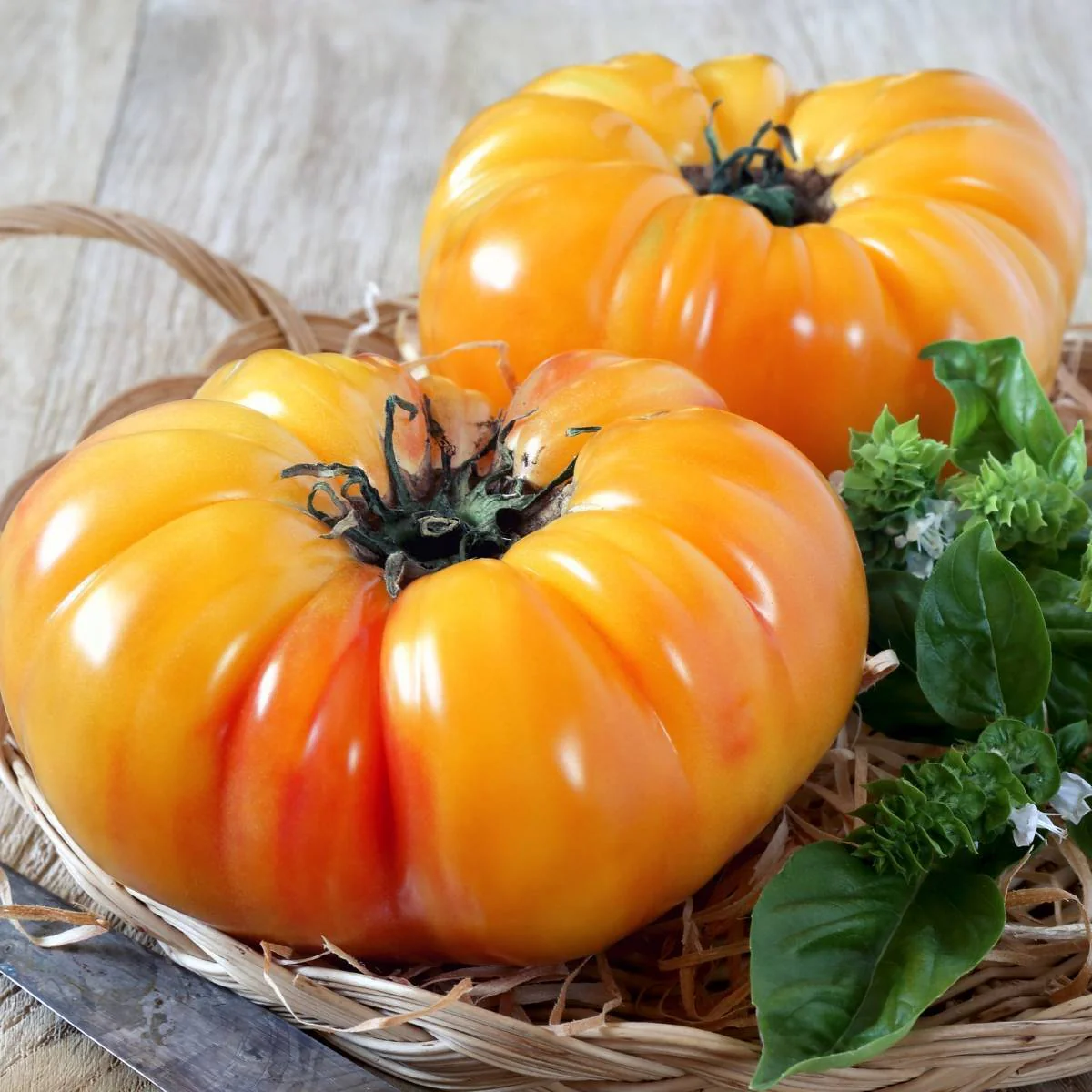Pineapple Tomato Seeds – Heirloom, Sweet & Juicy Bicolor Tomatoes - Image 3