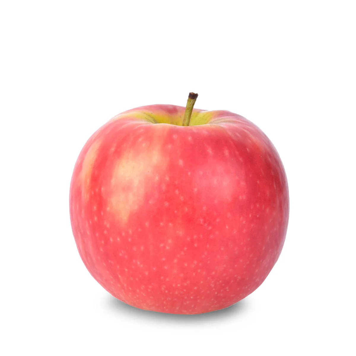 Pink Apple Tree Seeds, A Planting Guide for Your Dream Orchard, Fruit Seeds For Planting - Image 3