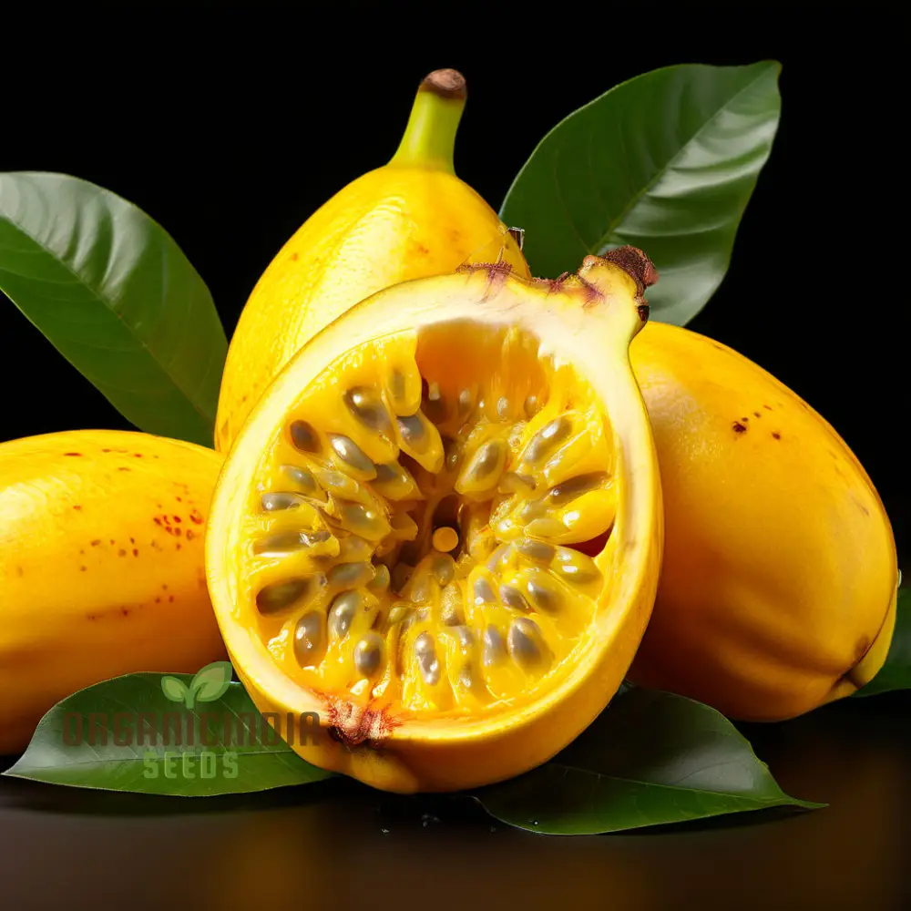 Yellow Banana Passion Fruit Seeds, Exotic and Sweet Tropical Flavor, Vibrant and Delicious Garden, Easy-to-Growing plant - Image 4