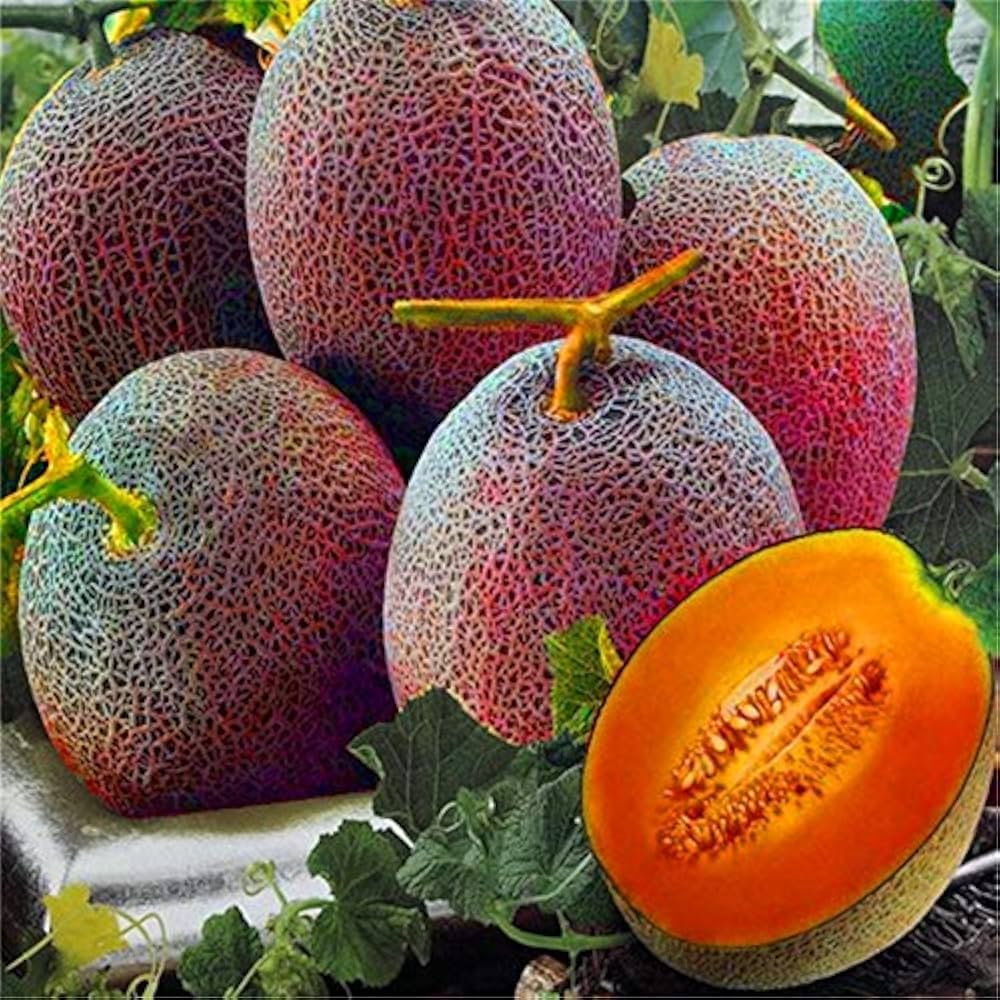 Pink Cantaloupe Seeds for Planting Sweet Melon Fruit