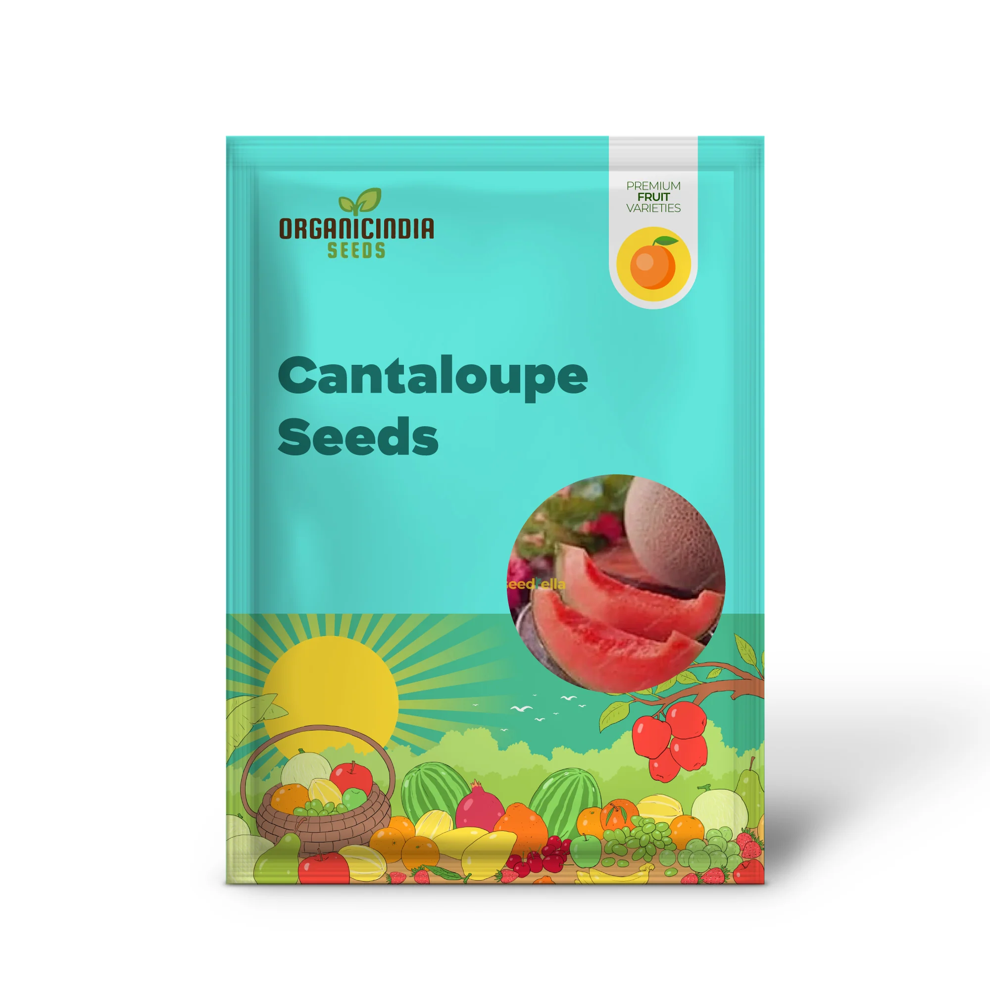 Pink Cantaloupe Seeds for Planting Sweet Melon Fruit - Image 2