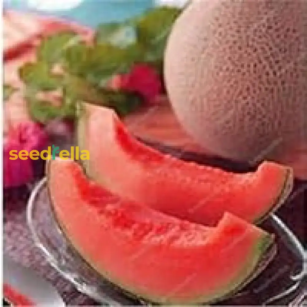 Pink Cantaloupe Seeds for Planting Sweet Melon Fruit - Image 3