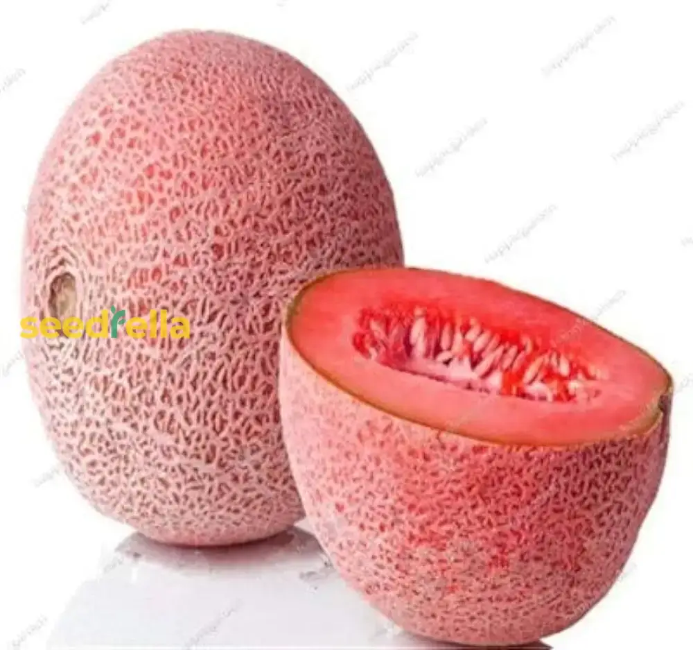 Pink Cantaloupe Seeds for Planting Sweet Melon Fruit - Image 5