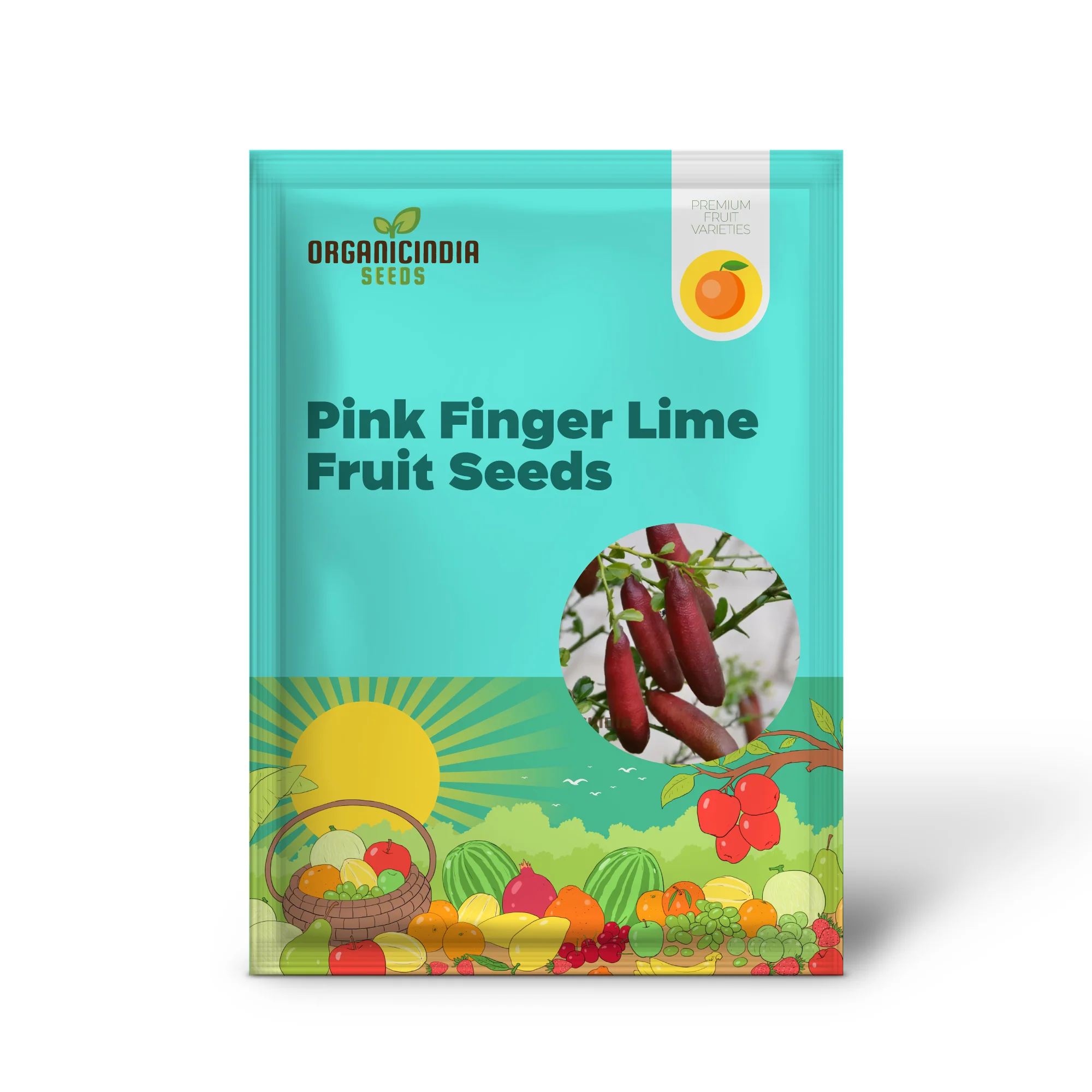 Pink Finger Lime Fruit Seeds for Planting - Premium Quality Organic Seeds for Planting and Gardening - Image 2