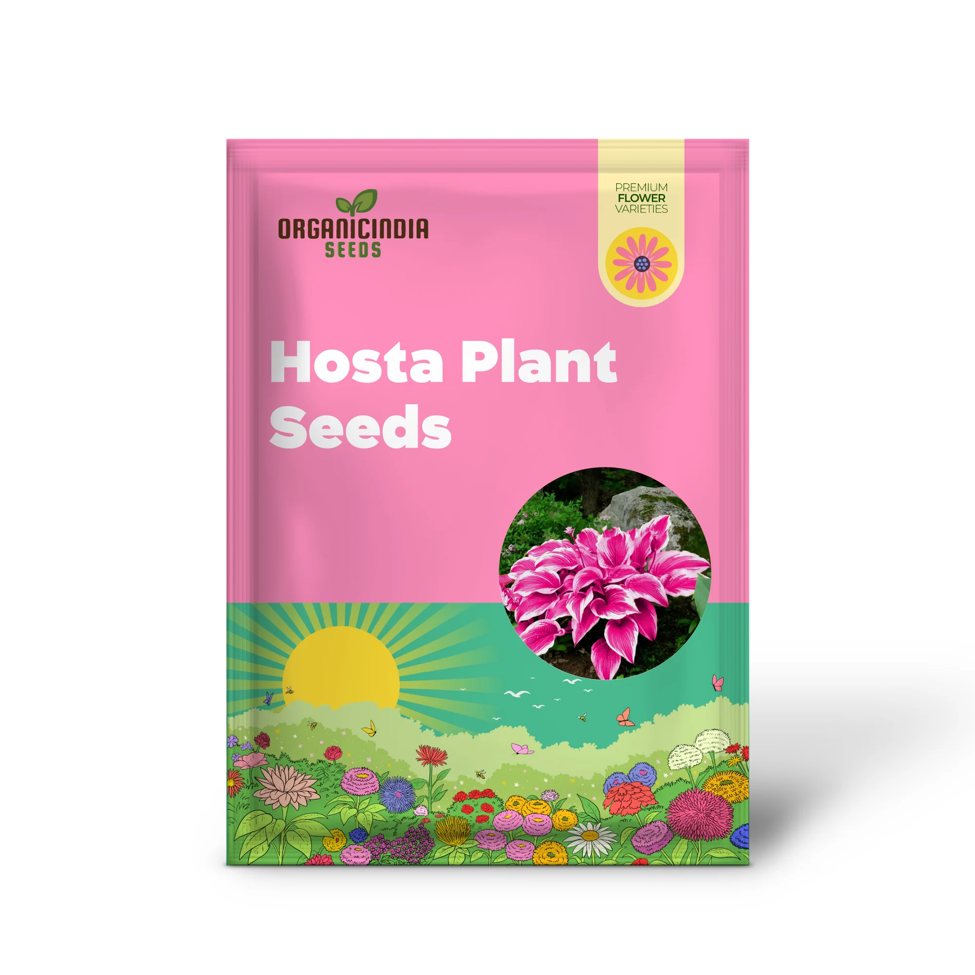 Pink Hosta Seeds Perennial Bonsai for Indoor And Outdoor Gardens, Pollinator Friendly - Image 2