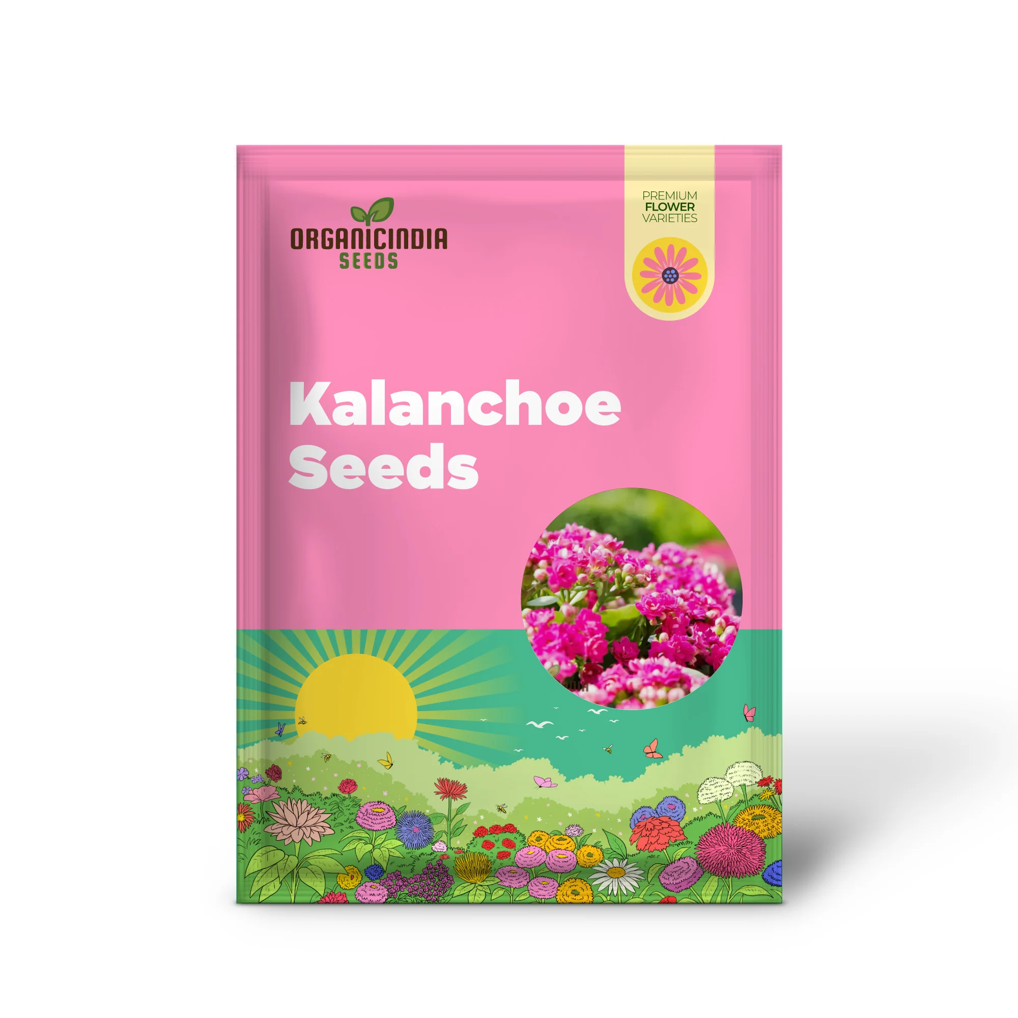 Premium Pink Kalanchoe Seeds – Beautiful Blossoms for Pots, Garden Borders, Indoor Displays & Decorative Landscaping - Image 2