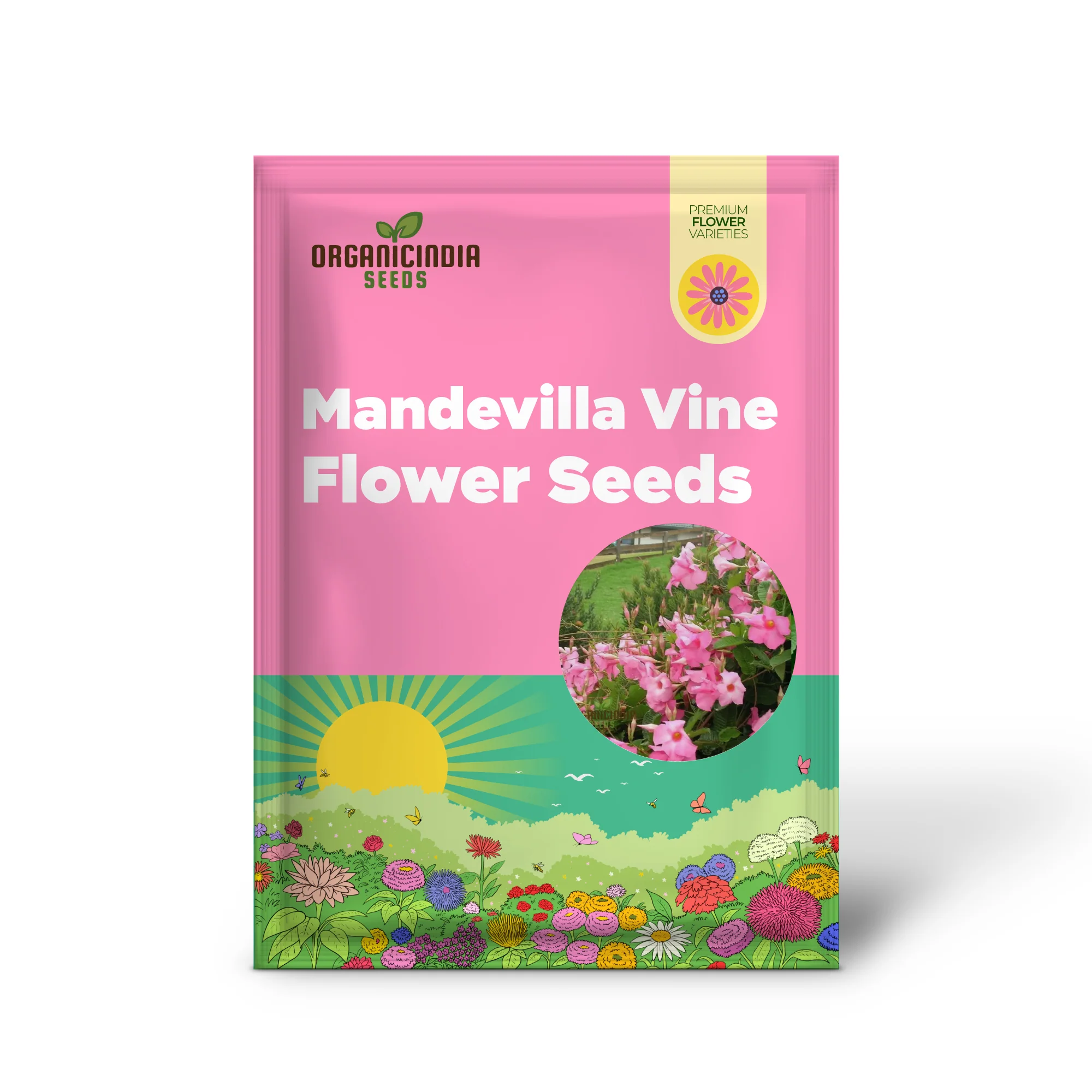 Pink Mandevilla Vine Flower Seeds for Planting, Beautiful and Vibrant Pink Blooms, Perfect for Garden - Image 2