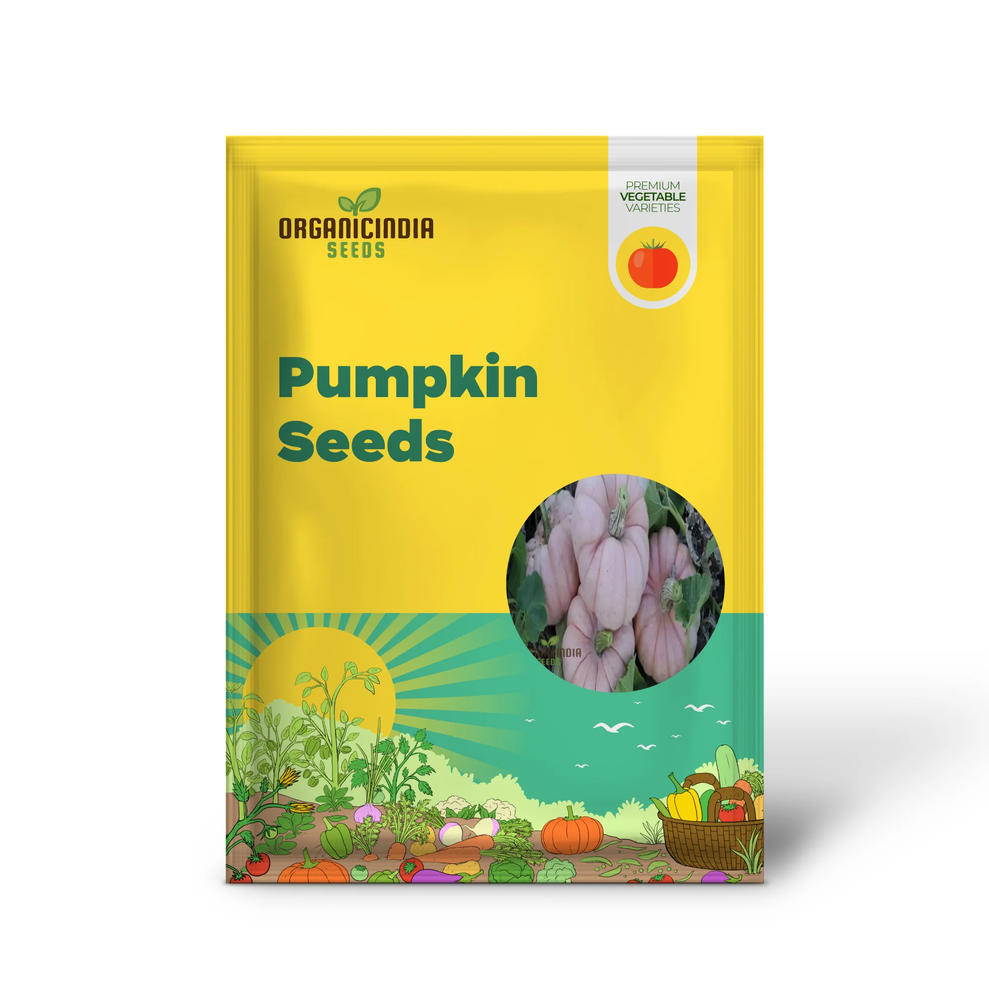 Pink Pumpkin Vegetable Seeds - Premium Quality Seeds for Unique Pink-Hued Pumpkins - Image 2