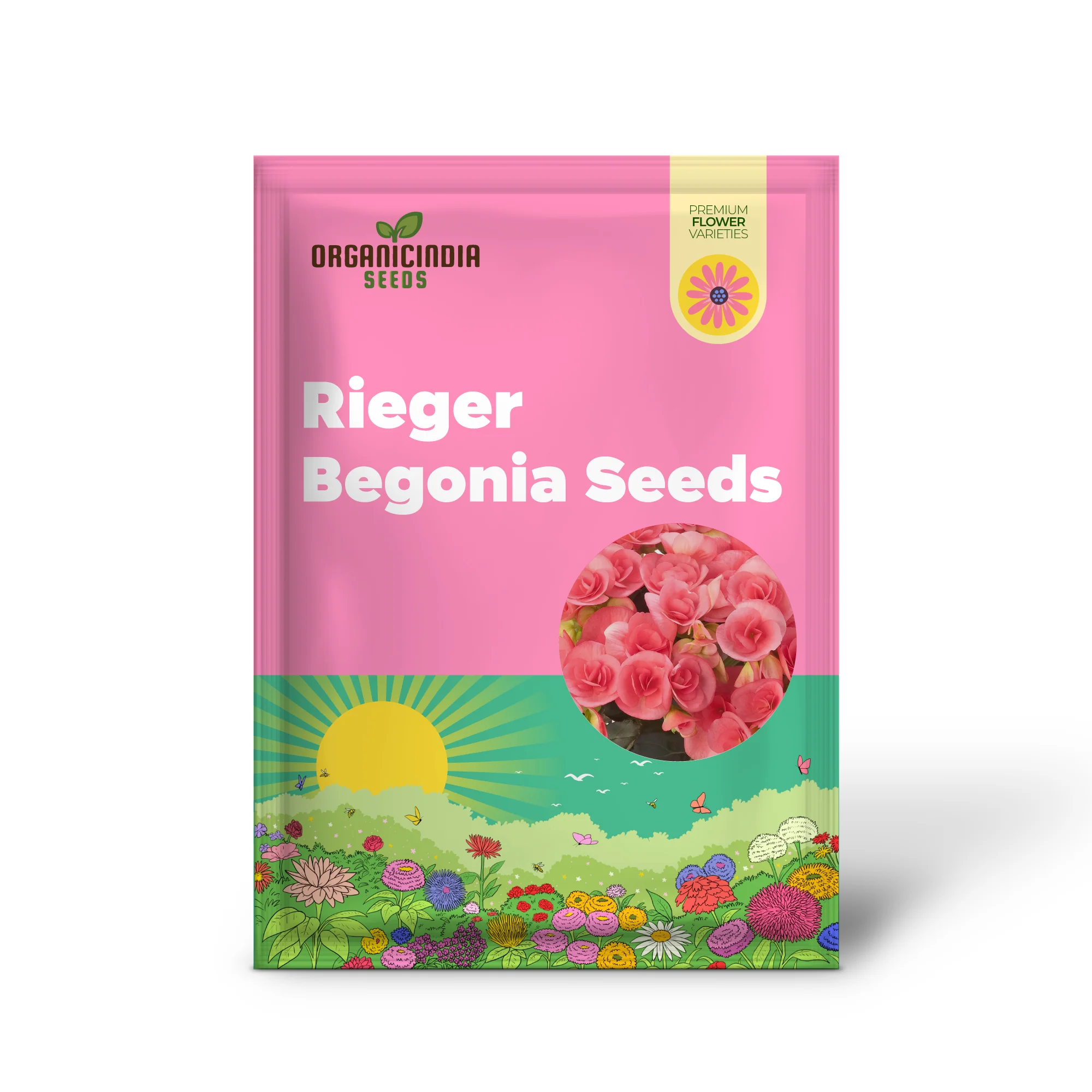 Begonia Seeds (Pink Rieger Begonia Seeds) - Showy Blooms and Attractive Foliage for Indoor and Outdoor Use - Image 2