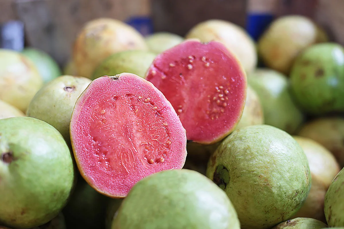 Pink Seedless Guava Seeds – Sweet & Juicy Tropical Fruit for Planting - Image 2
