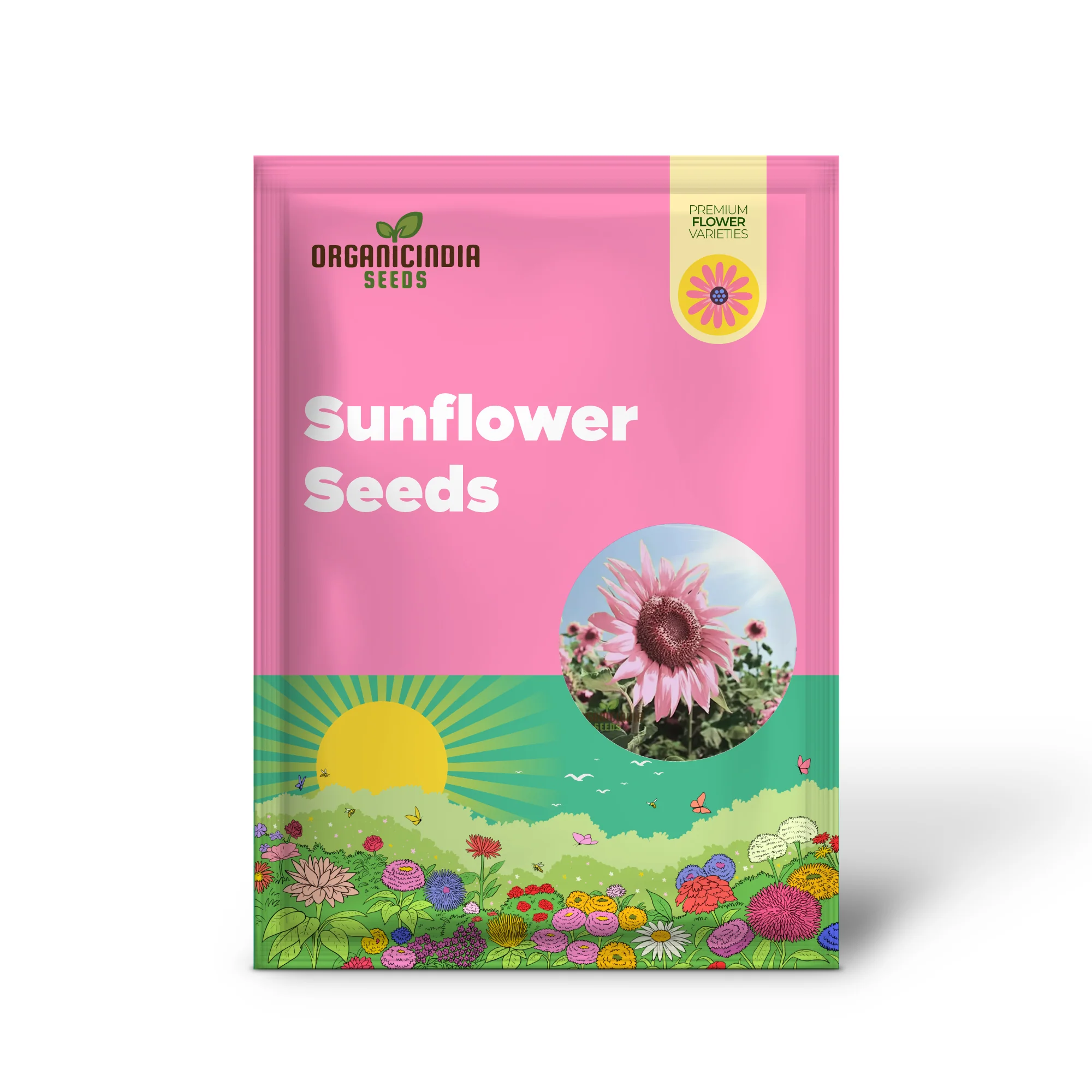 Premium Pink Sunflower Seeds, Vibrant Blooms for Garden Planting Easy to Grow, Attract Pollinators - Image 2