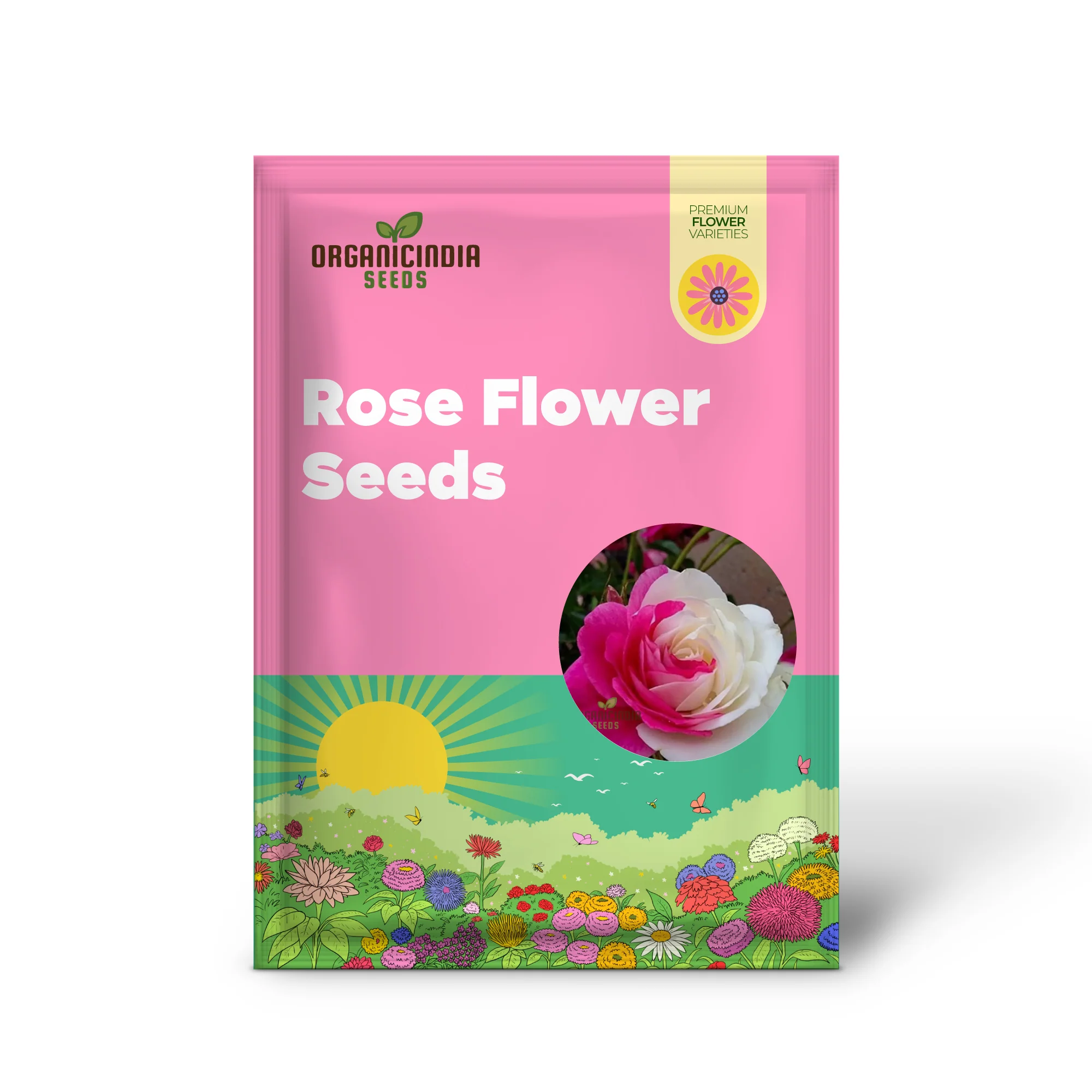 Pink & White Rose Seeds – Dual Color Garden Flowers - Image 2