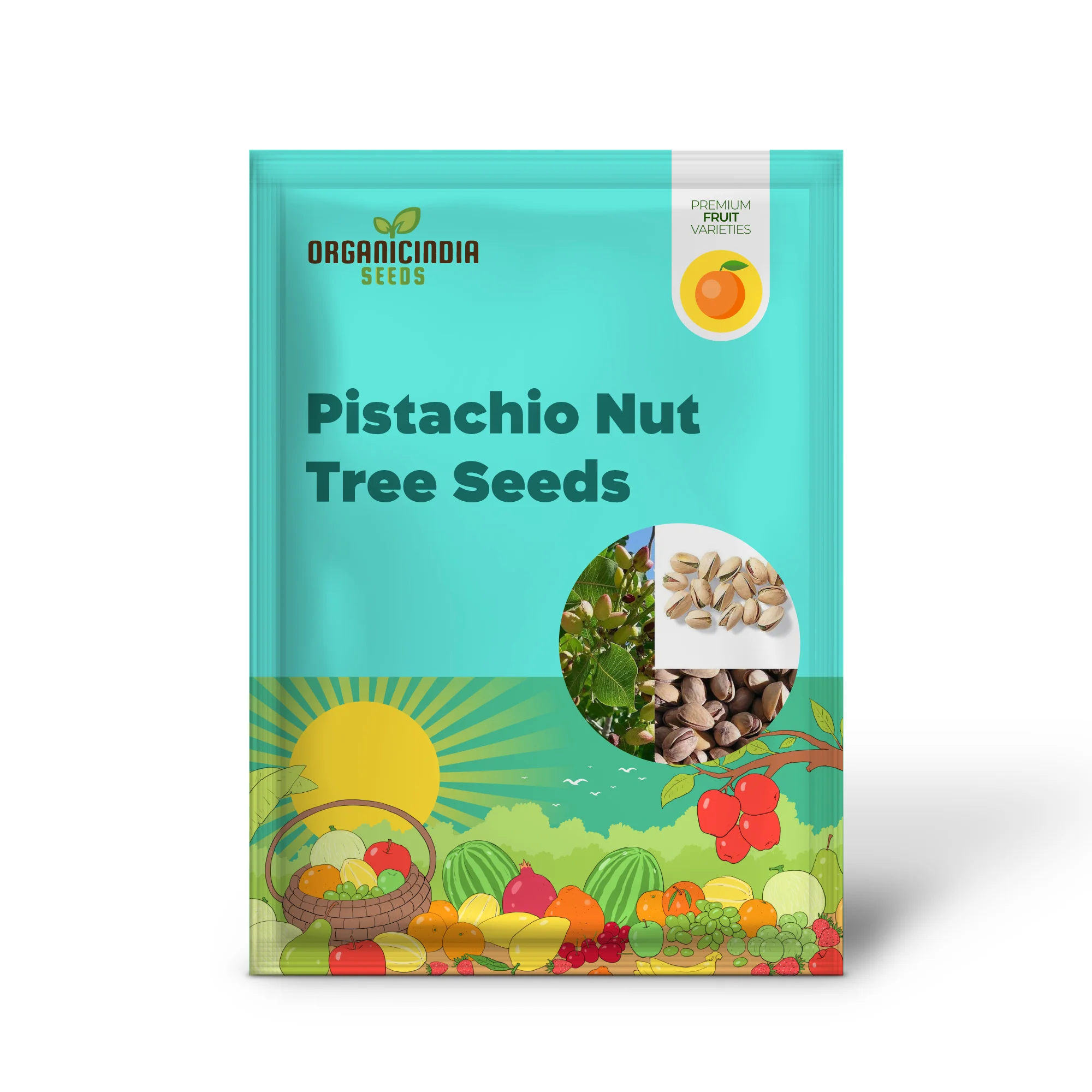 Pistachio Nut Tree Seeds - Image 2