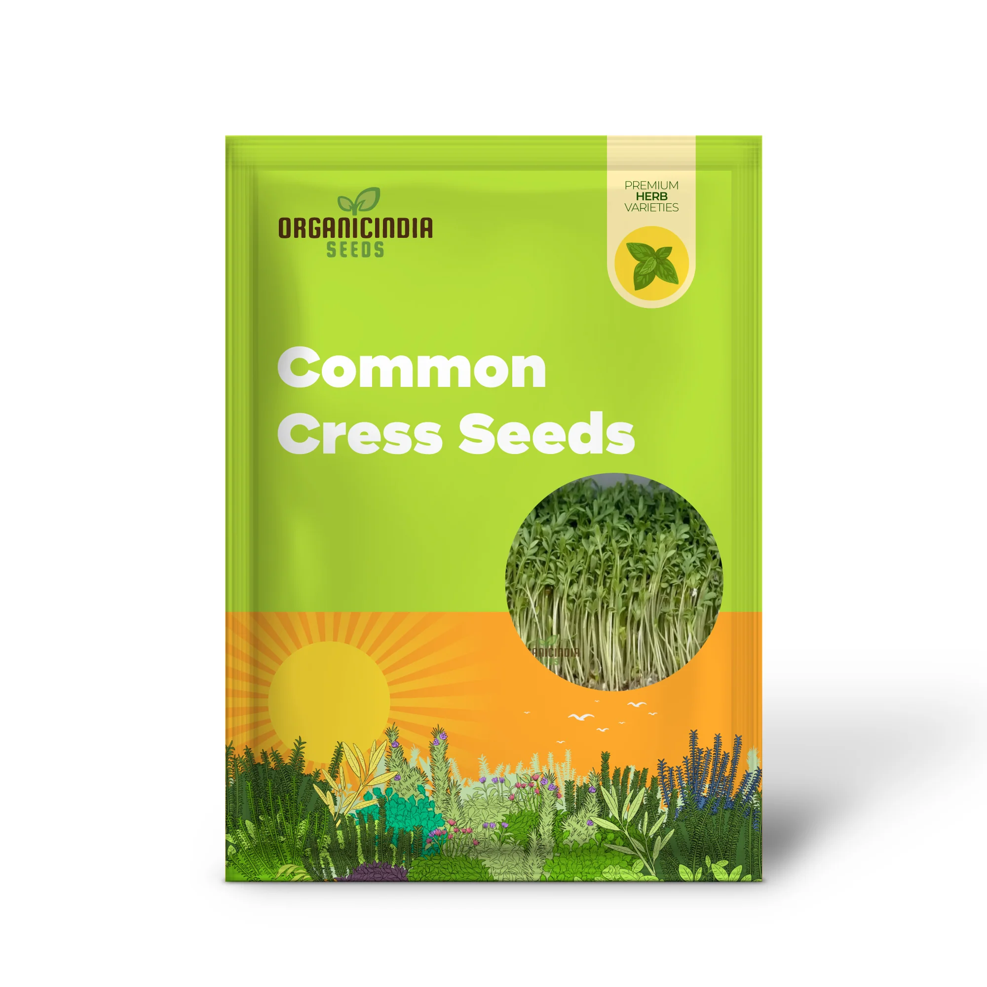 Plain / Curled / Common Cress Seeds – Crisp & Peppery Greens for Salads and Garnishing - Image 2