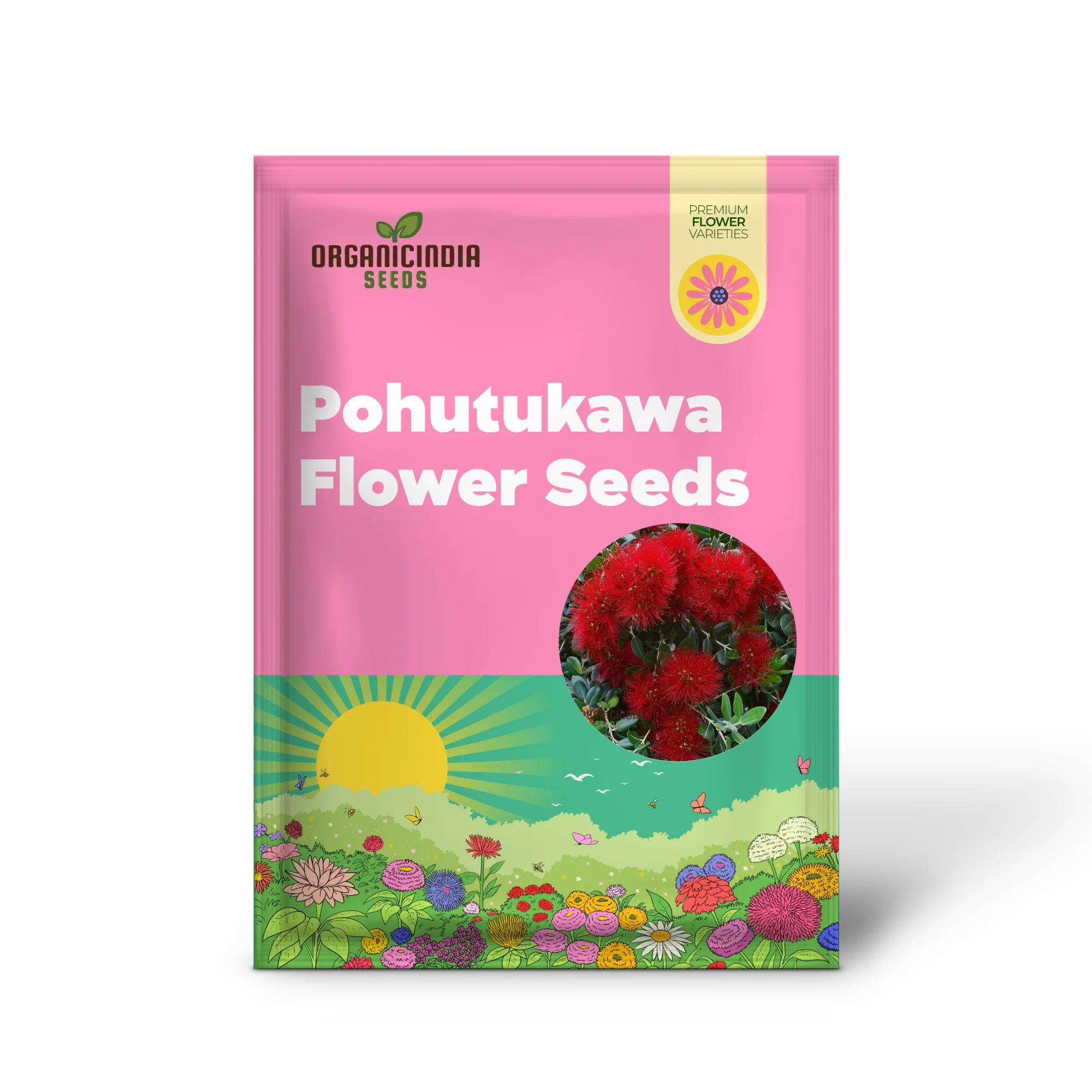 Pohutukawa Seeds for Planting,Elevate Your Gardening Experience with Stunning Blooms - Image 2