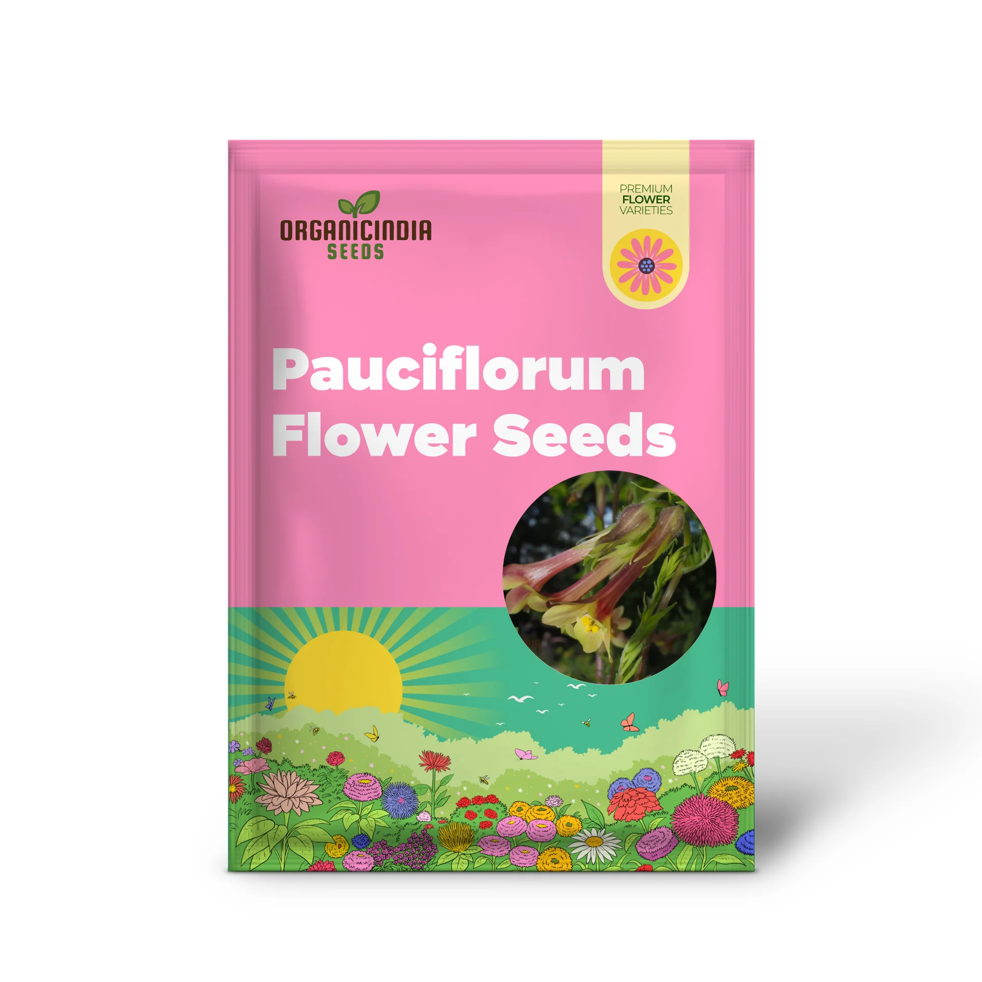 Polemonium Pauciflorum 'Sulphur Trumpets' Seeds for Planting - Image 2