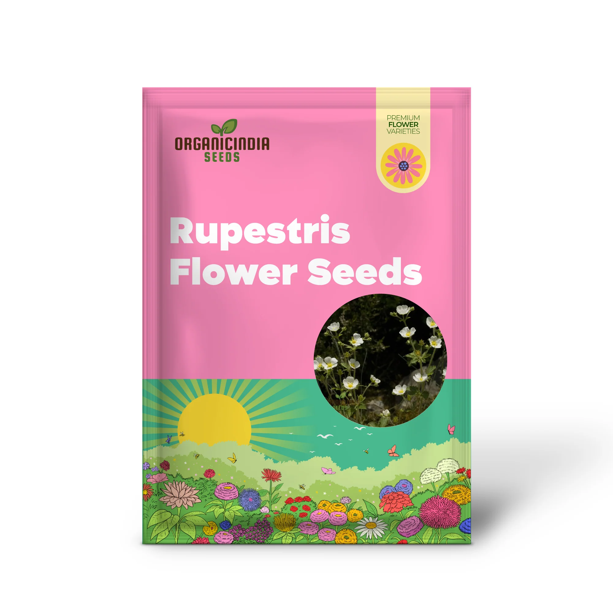 Potentilla Rupestris Flower Seeds For Planting, Rock Garden Charm for Your Landscape - Image 2