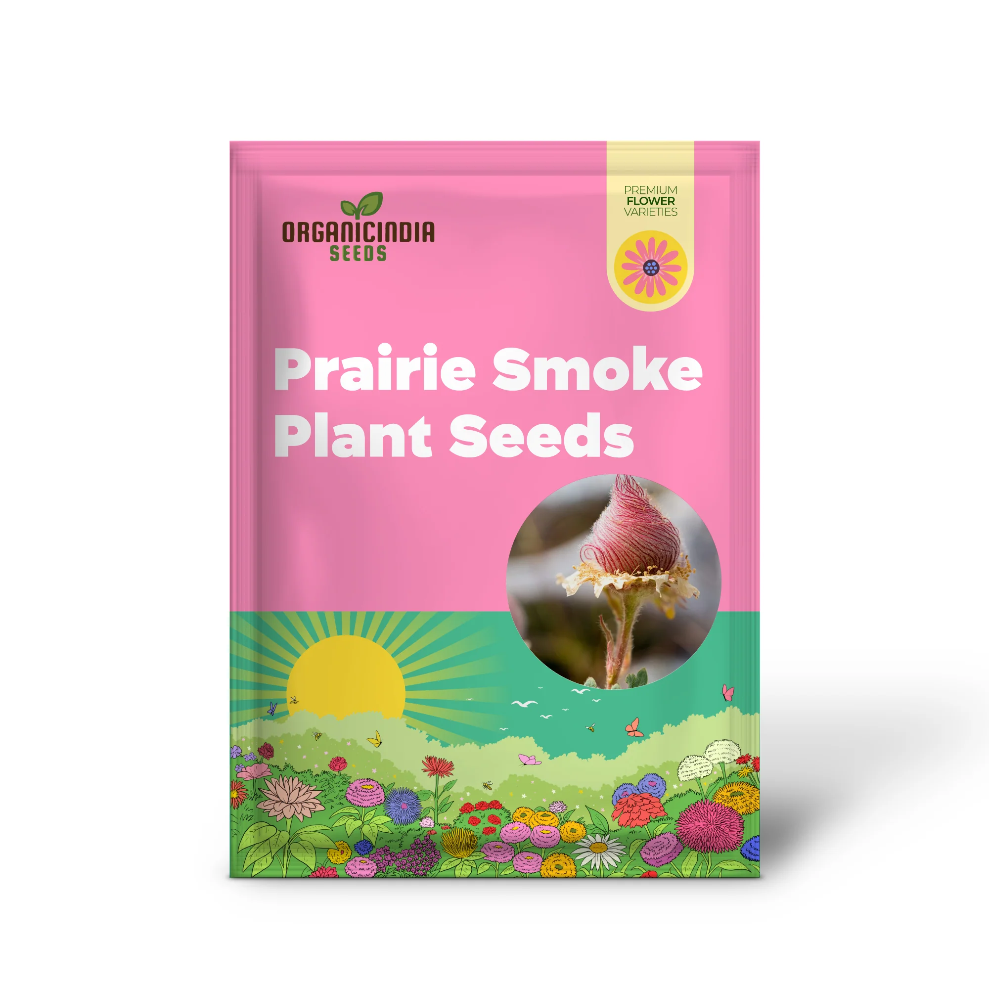 Prairie Smoke Wild Flower Seeds for Planting - Image 2