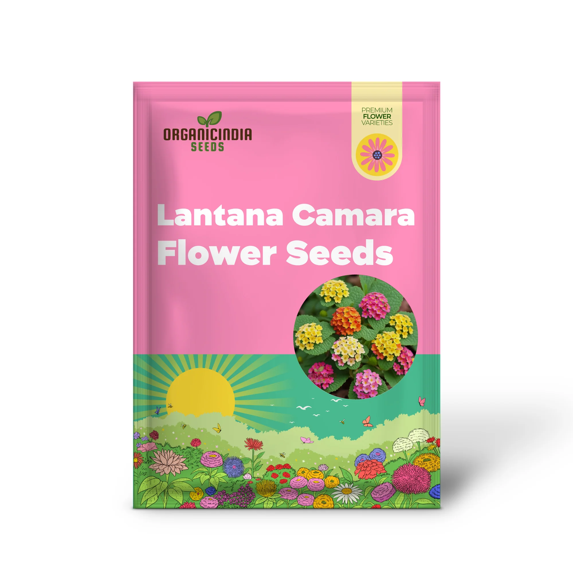 High Quality Non-GMO Lantana Camara Flower Seeds for Planting - Image 2