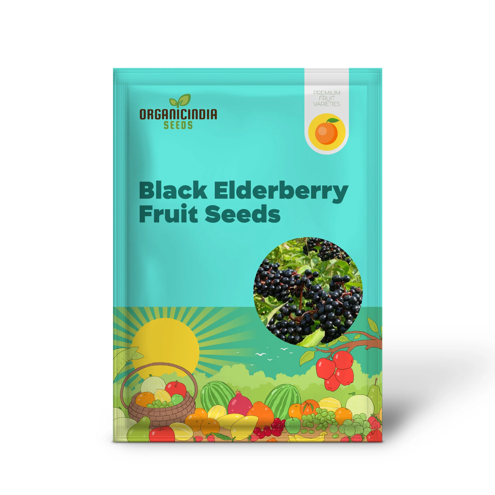 Premium Black Elderberry Fruit Seeds, Organic, Medicinal, Boost Immunity, Ideal for Home Gardens - Image 2