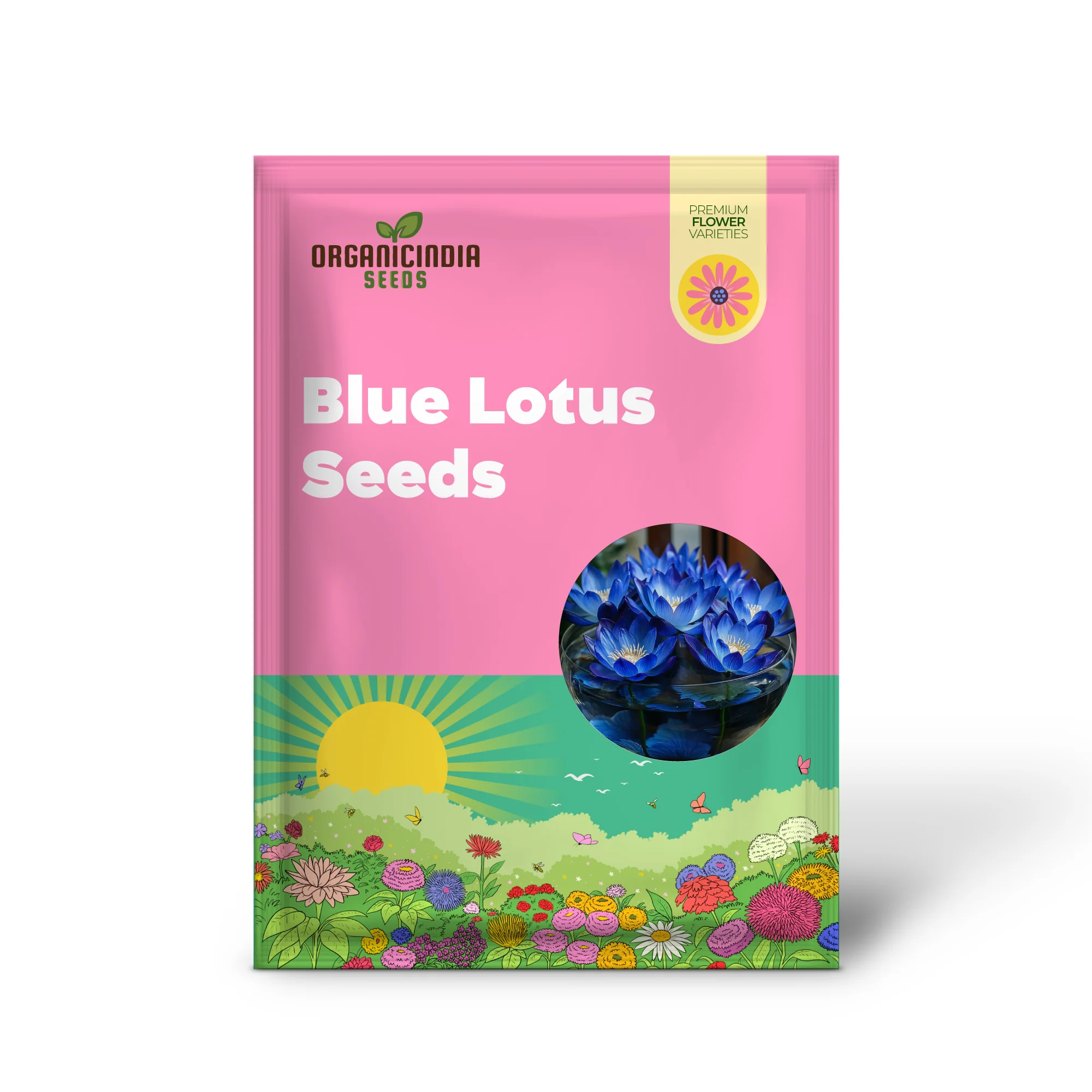 Premium Blue Lotus Seeds, Exotic Aquatic Flowers - Image 2