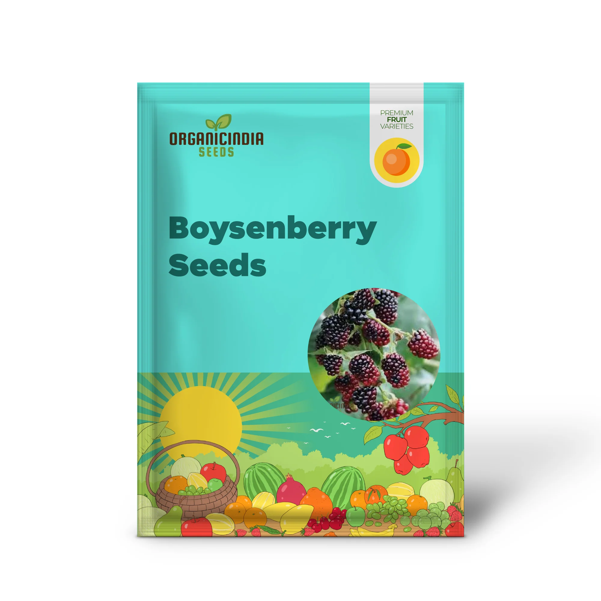 Premium BOYSENBERRY Seeds for Your Garden - Buy Seeds Online - Image 2