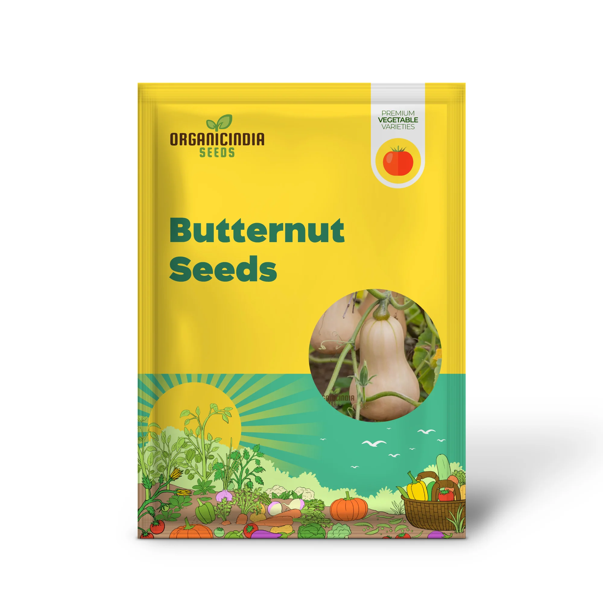 Premium Butternut Hunter F1 Vegetable Seeds, High Yield, Perfect for Home Gardens - Image 2
