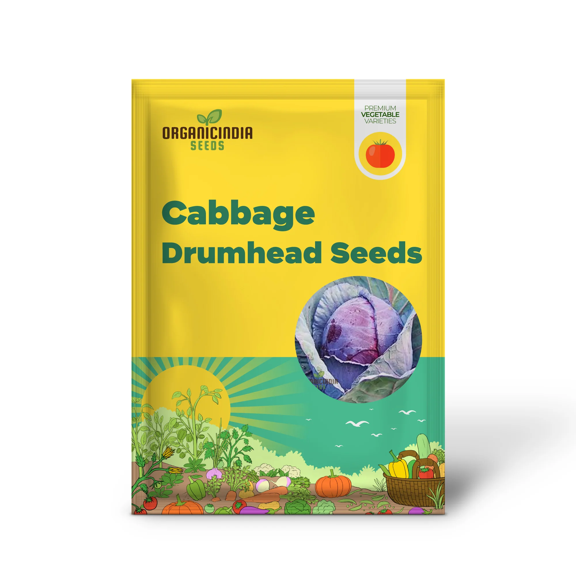 Cabbage Red Drumhead Seeds for Vibrant Garden Harvest - Image 2