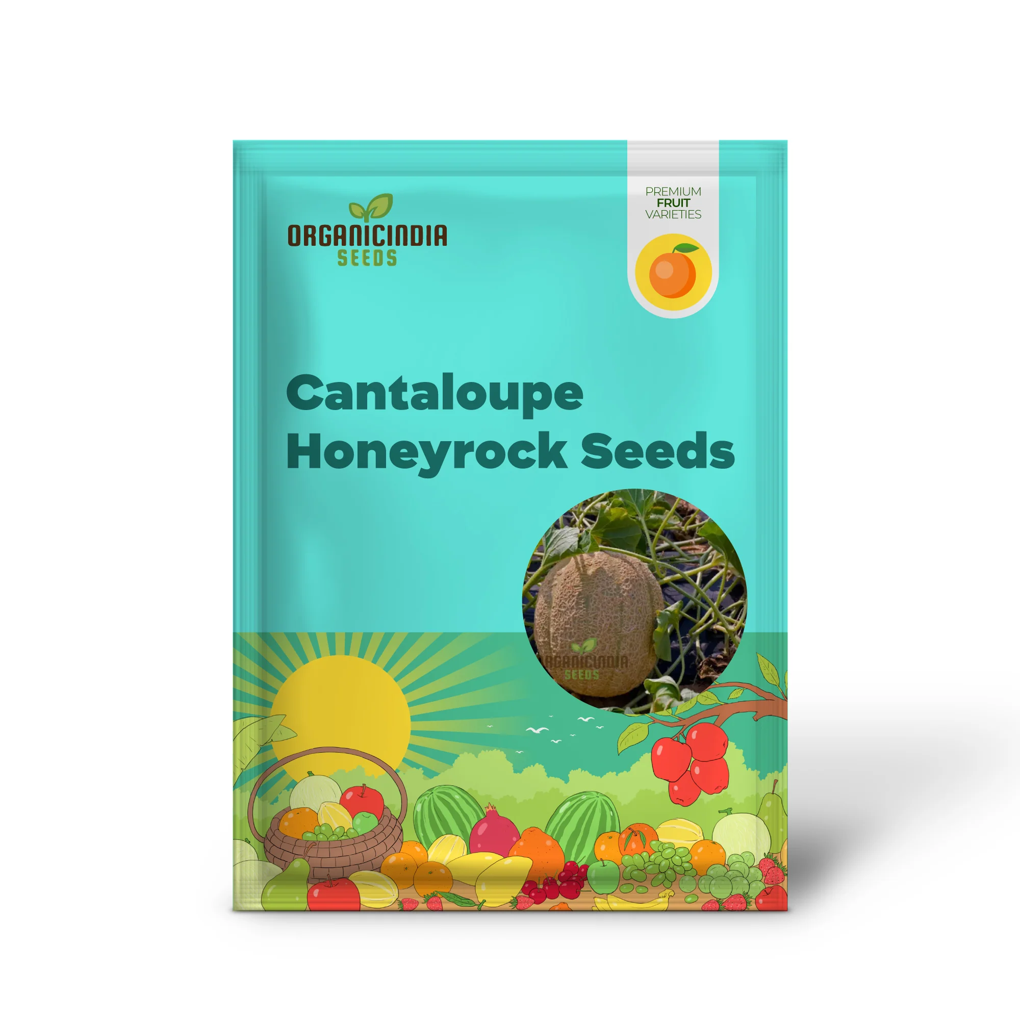 Cantaloupe Honeyrock Vegetable Seeds for Expert Gardeners | High-Yield, Flavorful Melons | Non-GMO, Heirloom Variety for Thriving Gardens - Image 2